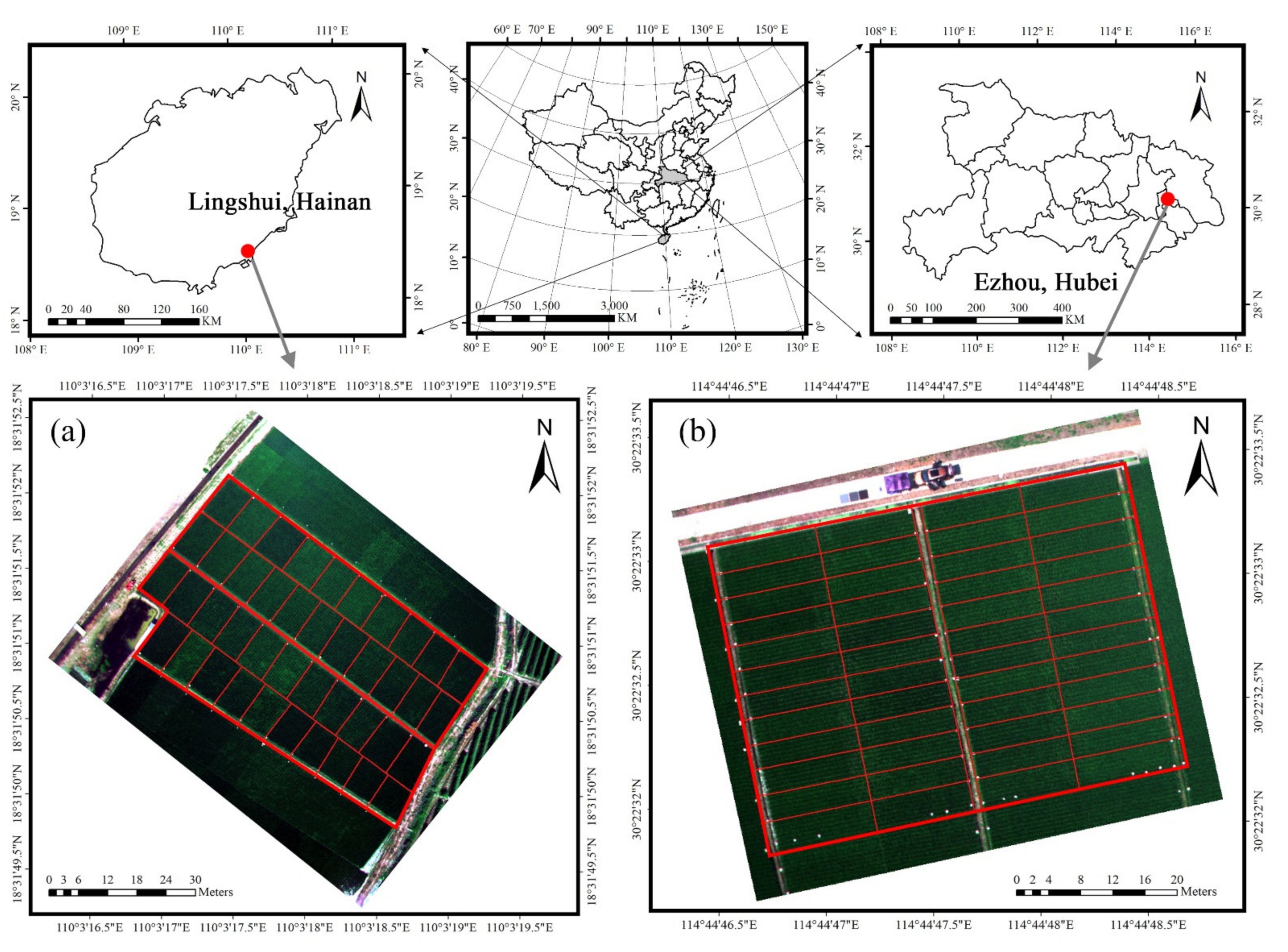 Remotesensing 13 03001 g001