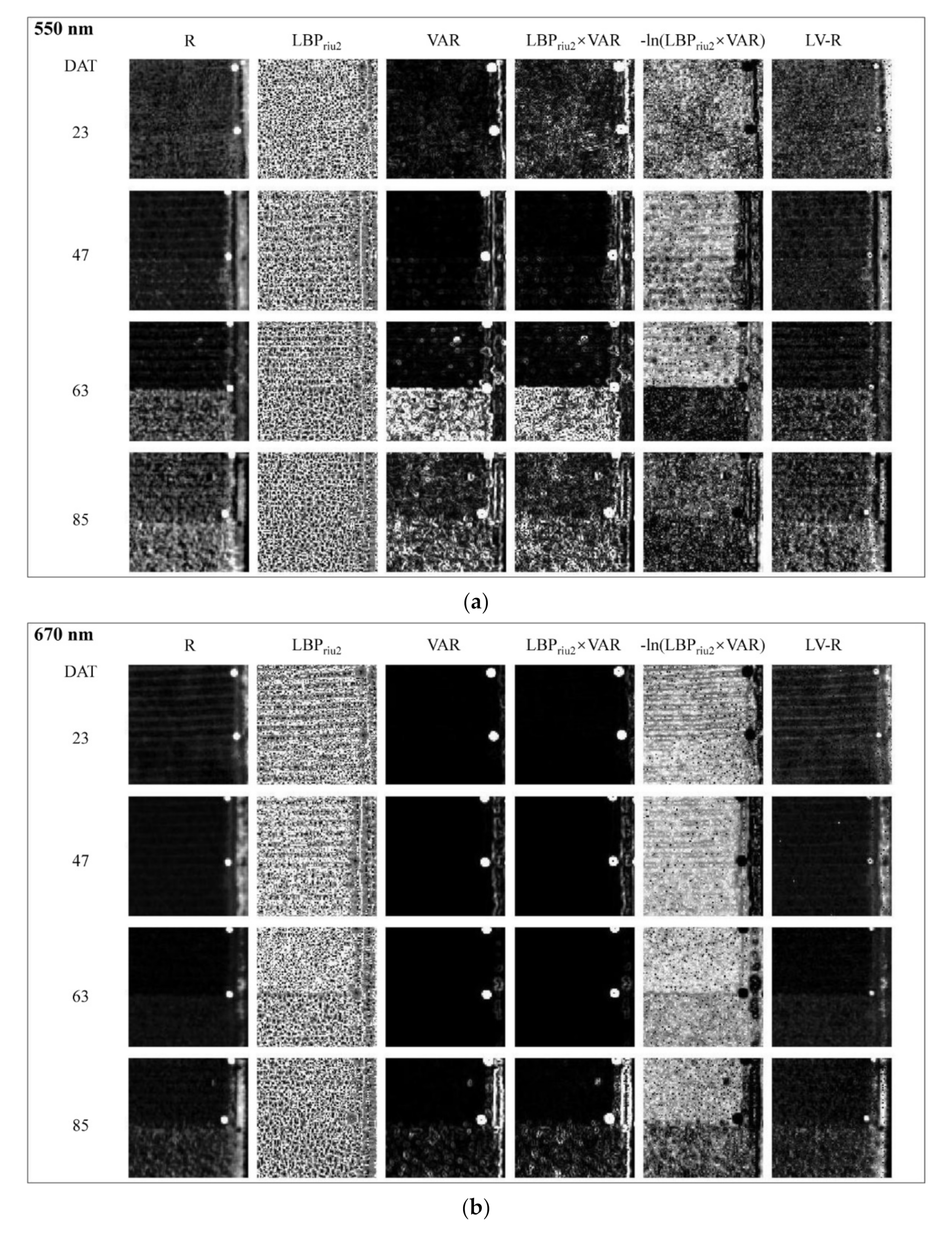 Remotesensing 13 03001 g010a