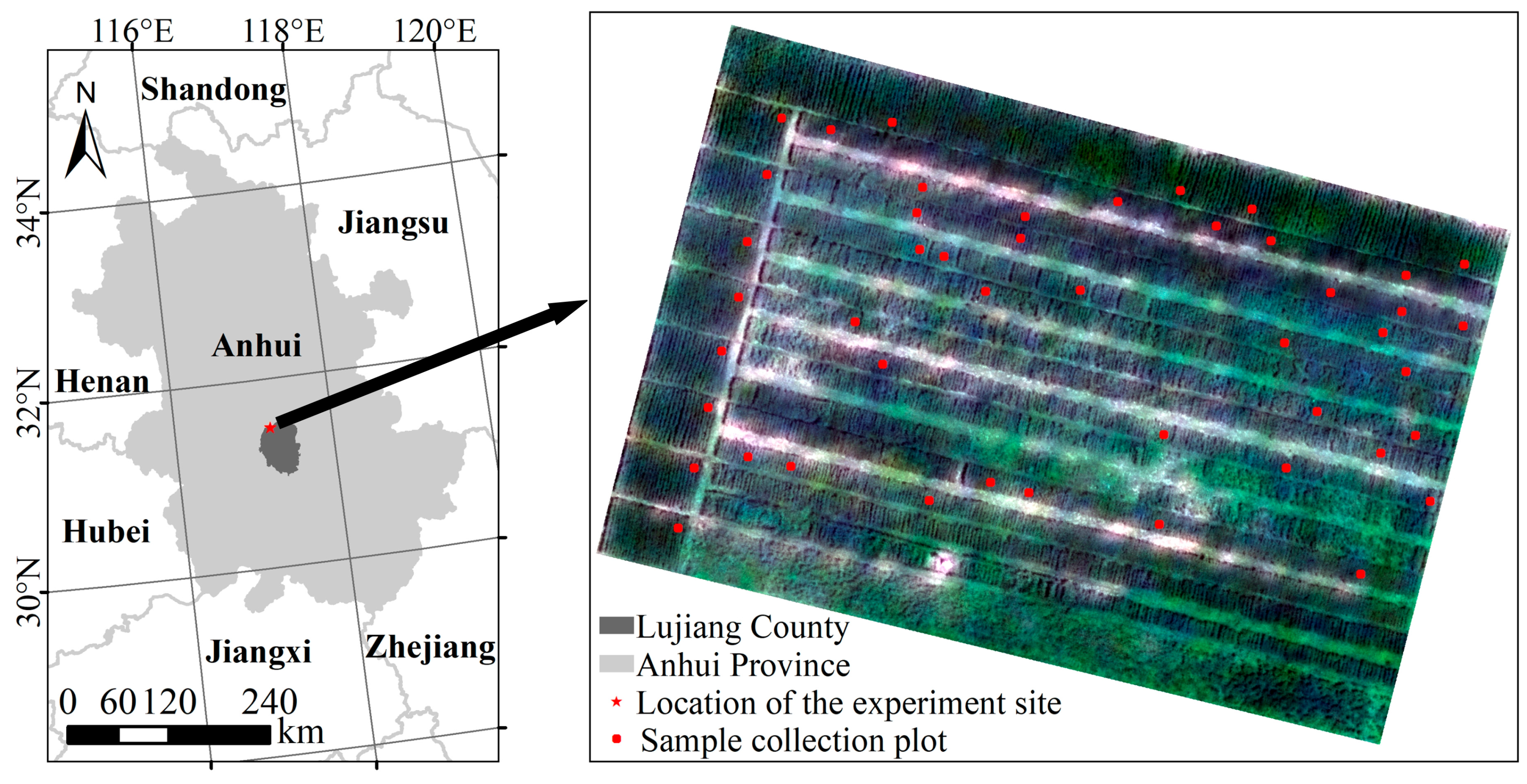 Remotesensing 13 03024 g001