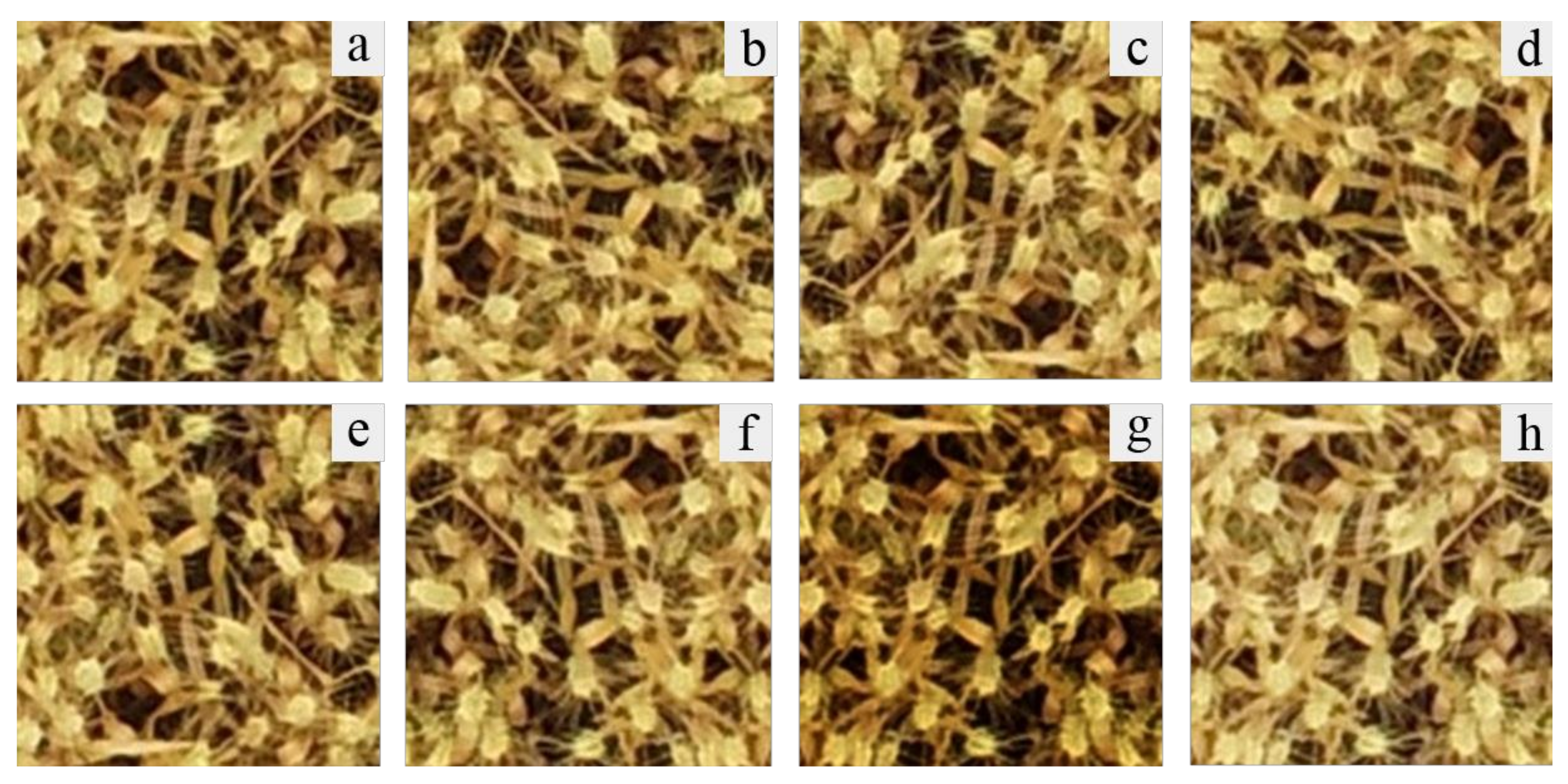 Remotesensing 13 03095 g003