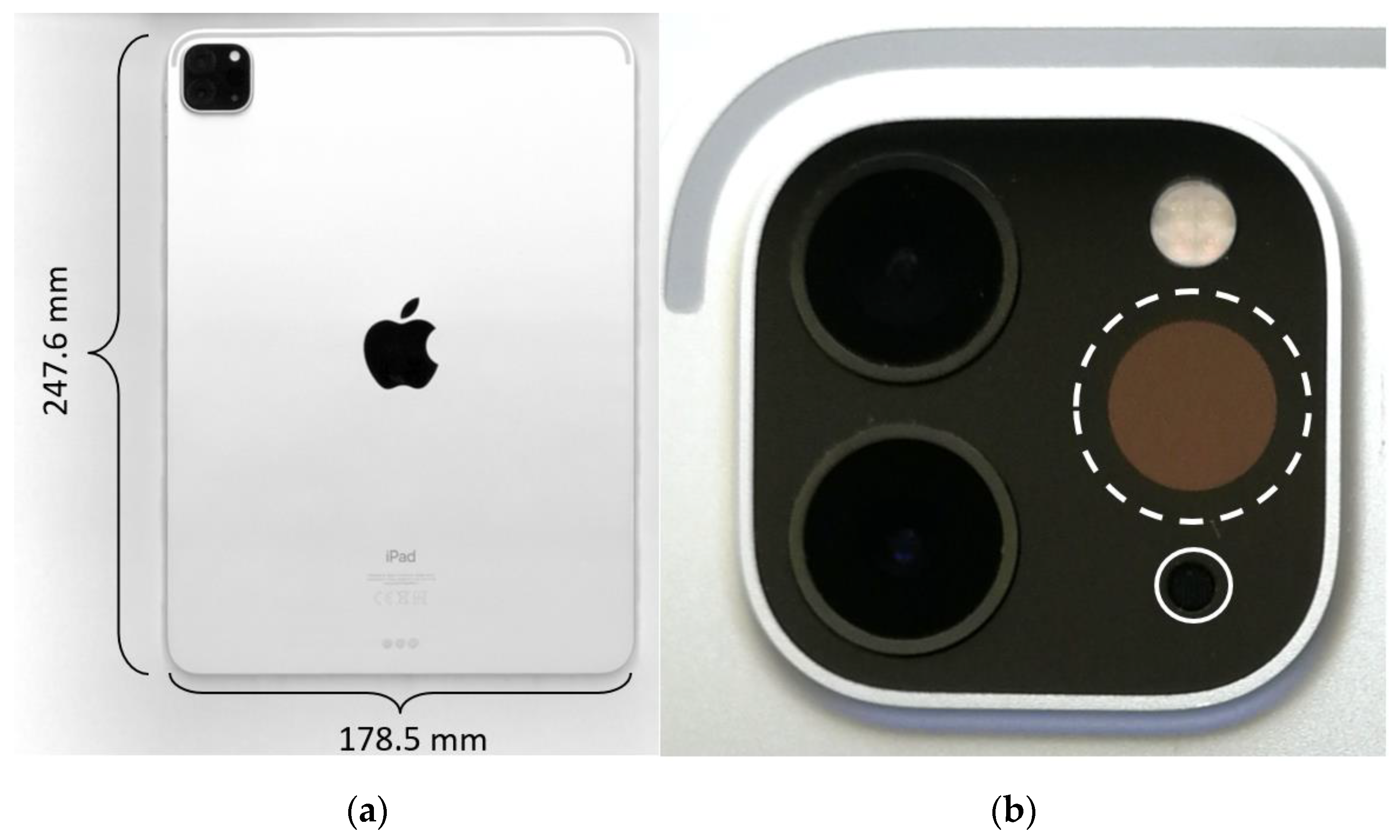 Remote Sensing | Free Full-Text | Measurement of Forest Inventory  Parameters with Apple iPad Pro and Integrated LiDAR Technology | HTML