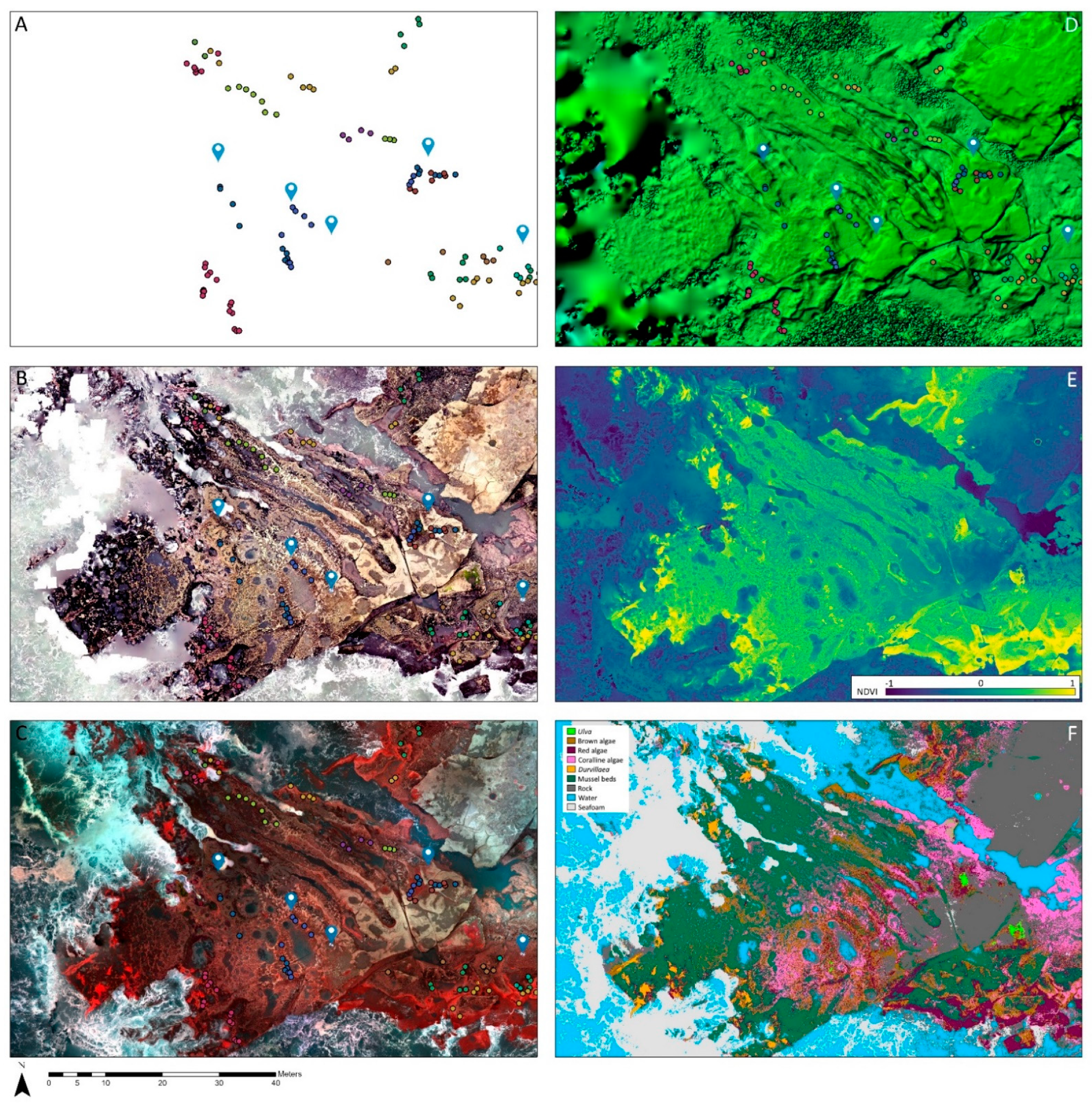 Remotesensing 13 03136 g006