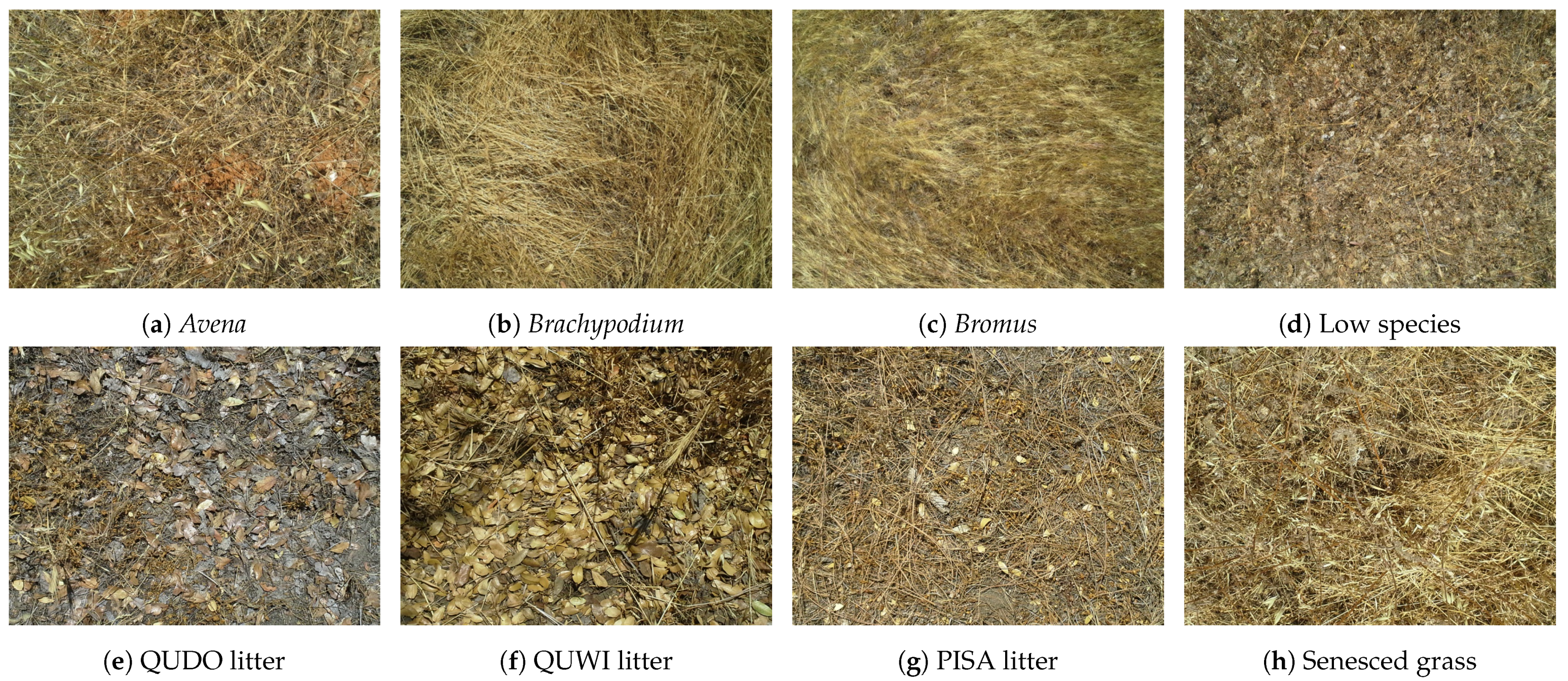 Remotesensing 13 03235 g002 Remotesensing 13 03235 g002