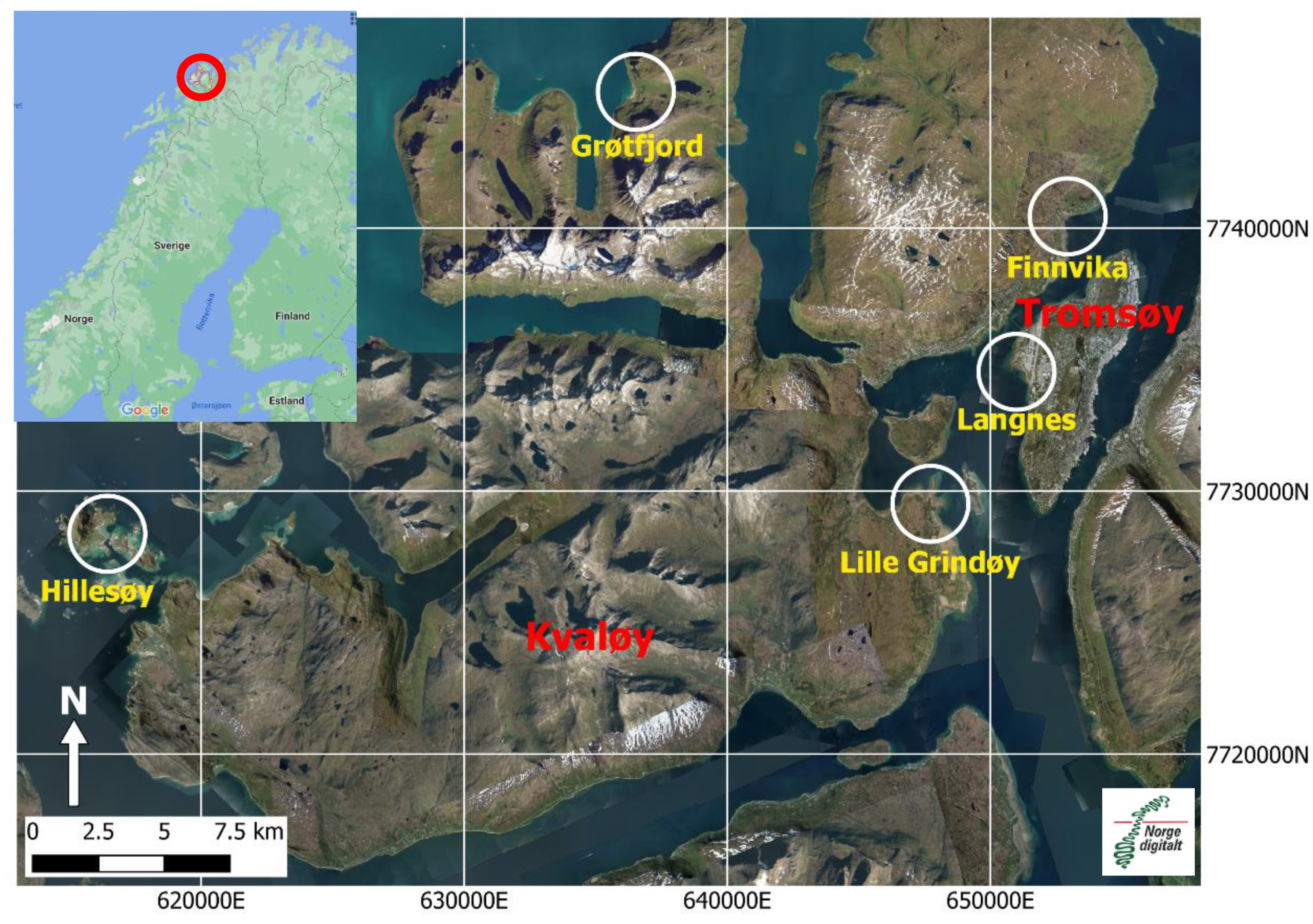 Remote Sensing | Free Full-Text | Mapping Atmospheric Exposure of the  Intertidal Zone with Sentinel-1 CSAR in Northern Norway