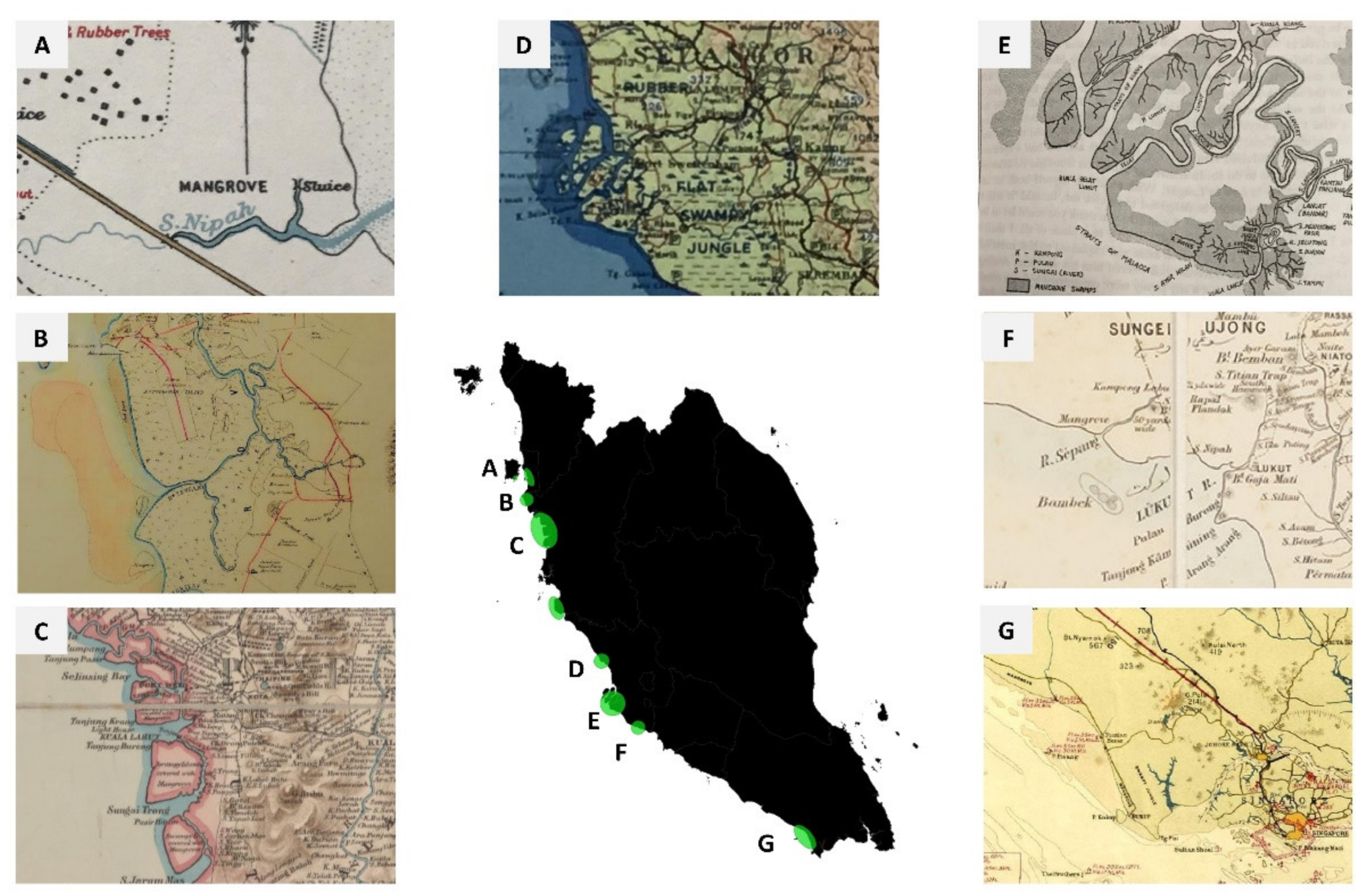 Remote Sensing Free Full Text Using Historical Archives And Landsat Imagery To Explore Changes In The Mangrove Cover Of Peninsular Malaysia Between 1853 And 2018 Html