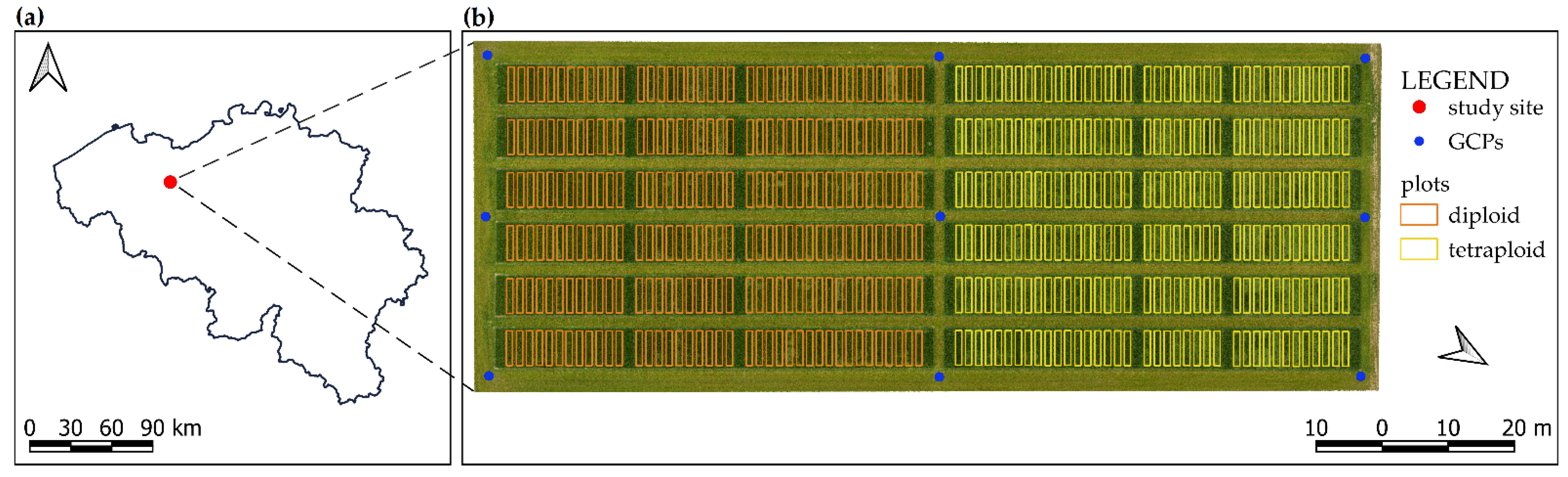 Remotesensing 13 03459 g001