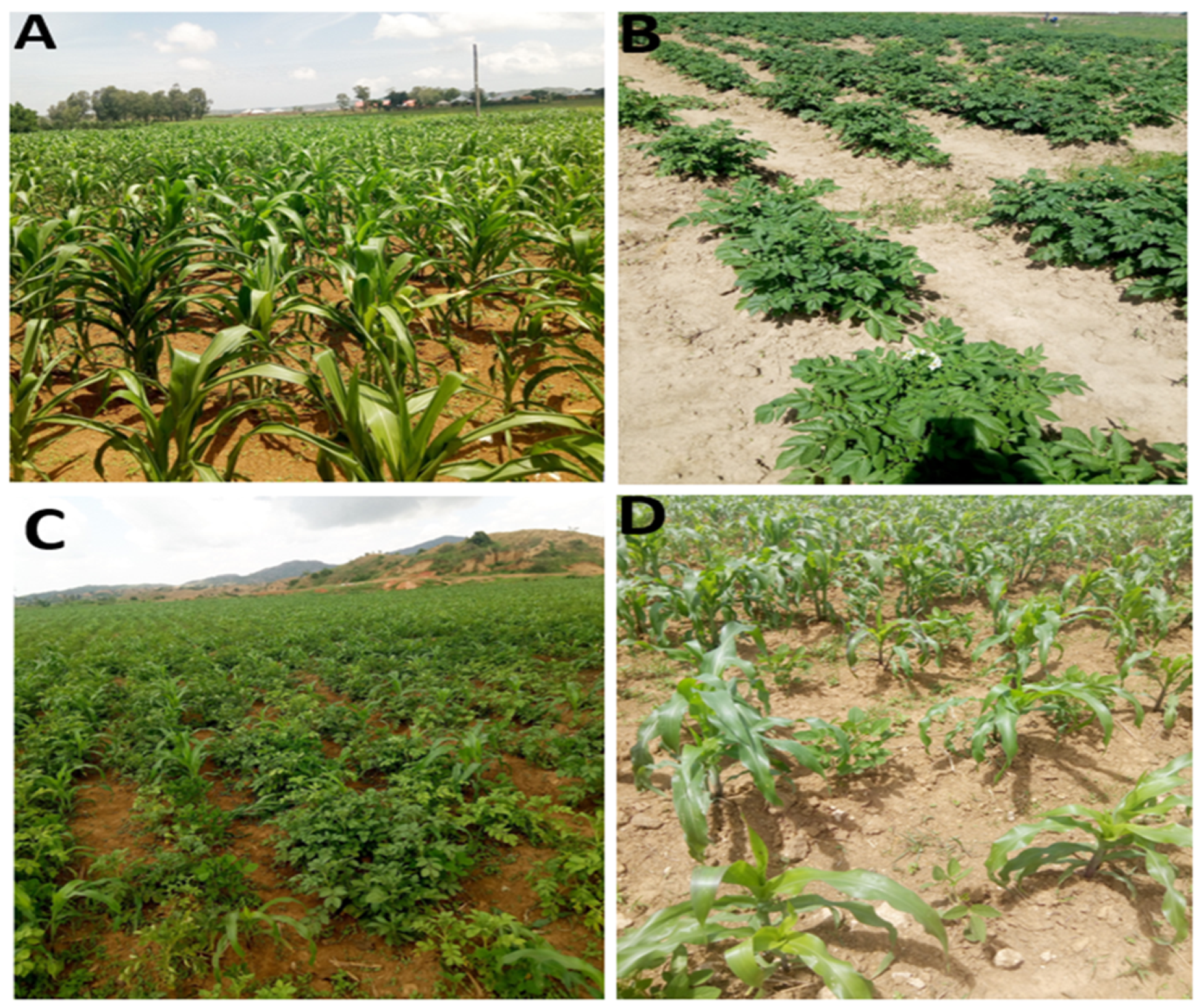 Remotesensing 13 03523 g002 Remotesensing 13 03523 g002