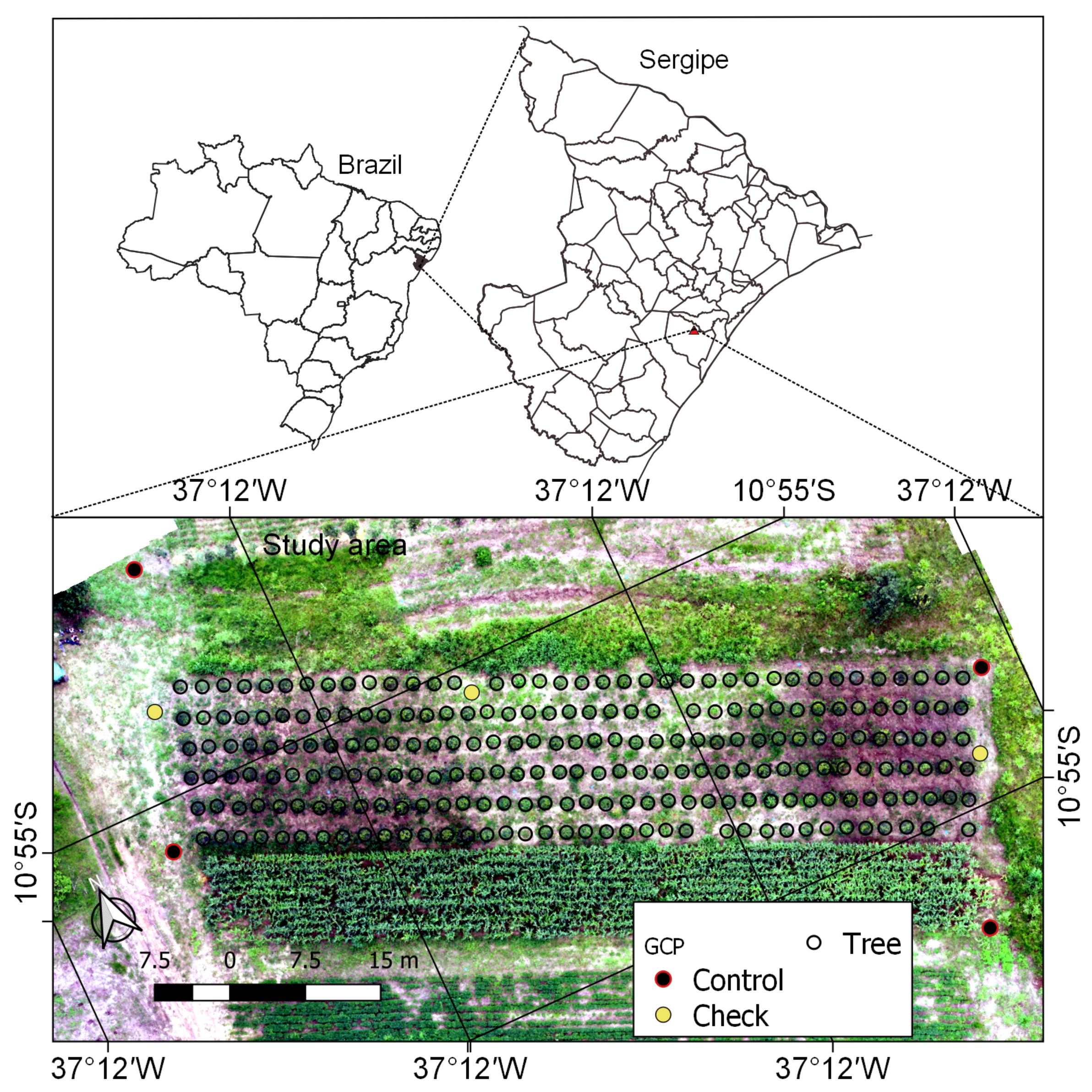 Remotesensing 13 03655 g001 Remotesensing 13 03655 g001