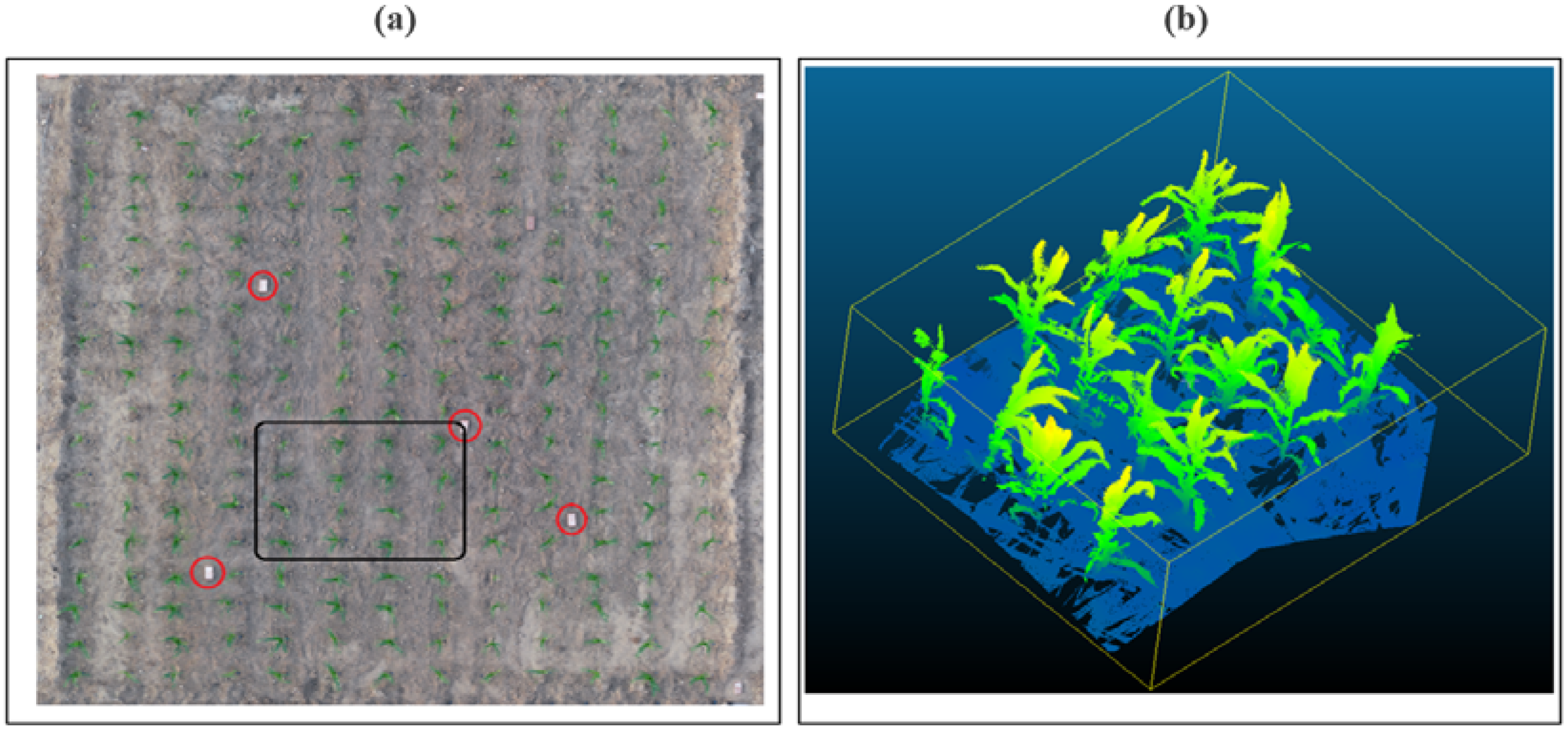 Remote Sensing | Free Full-Text | Sensitivity Analysis of Canopy Structural  and Radiative Transfer Parameters to Reconstructed Maize Structures Based  on Terrestrial LiDAR Data | HTML