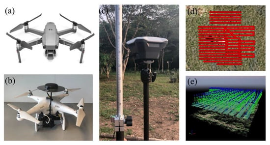 Remote Sensing Free Full Text Mapping Canopy Heights in Dense