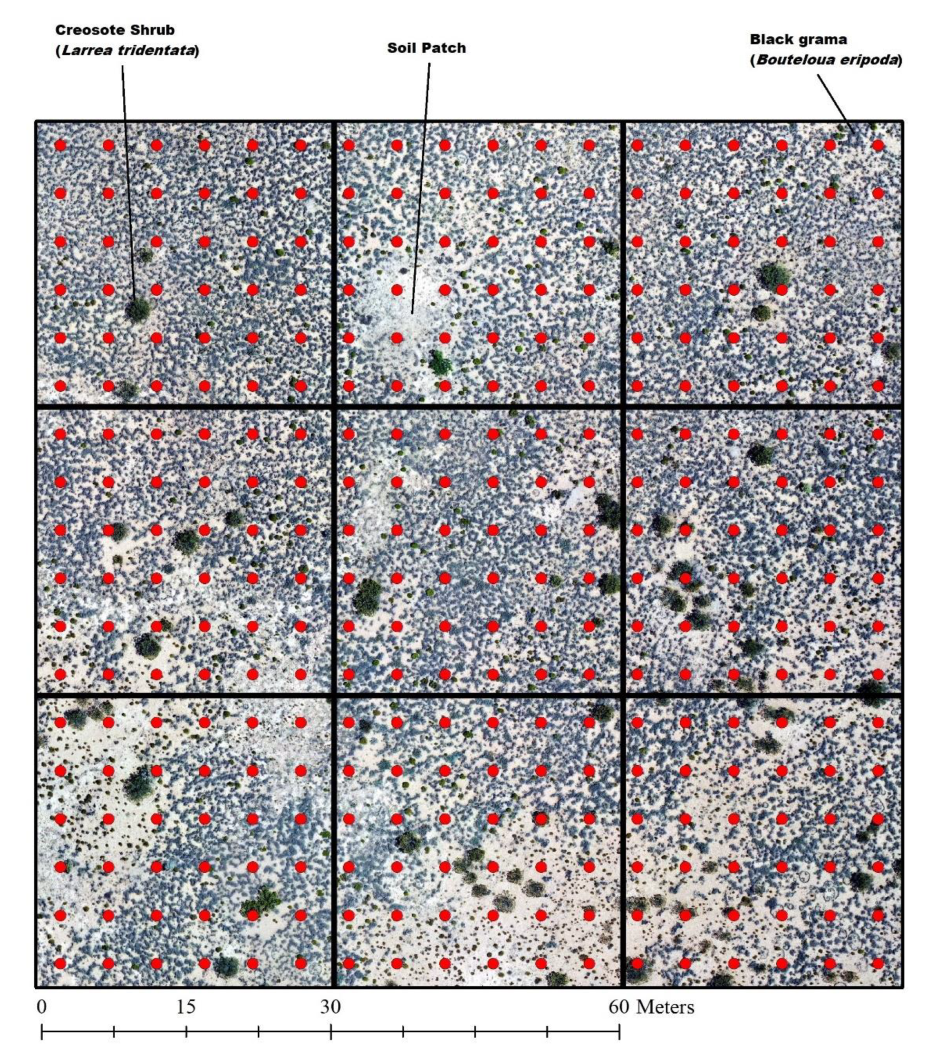 Remotesensing 13 03840 g003