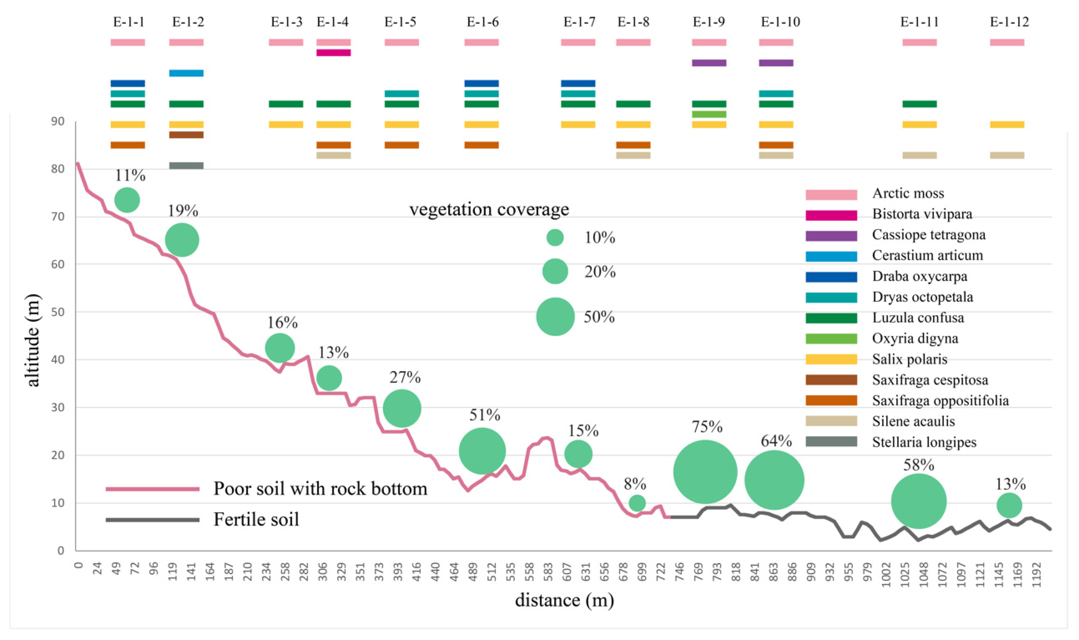 Remotesensing 13 03845 g012