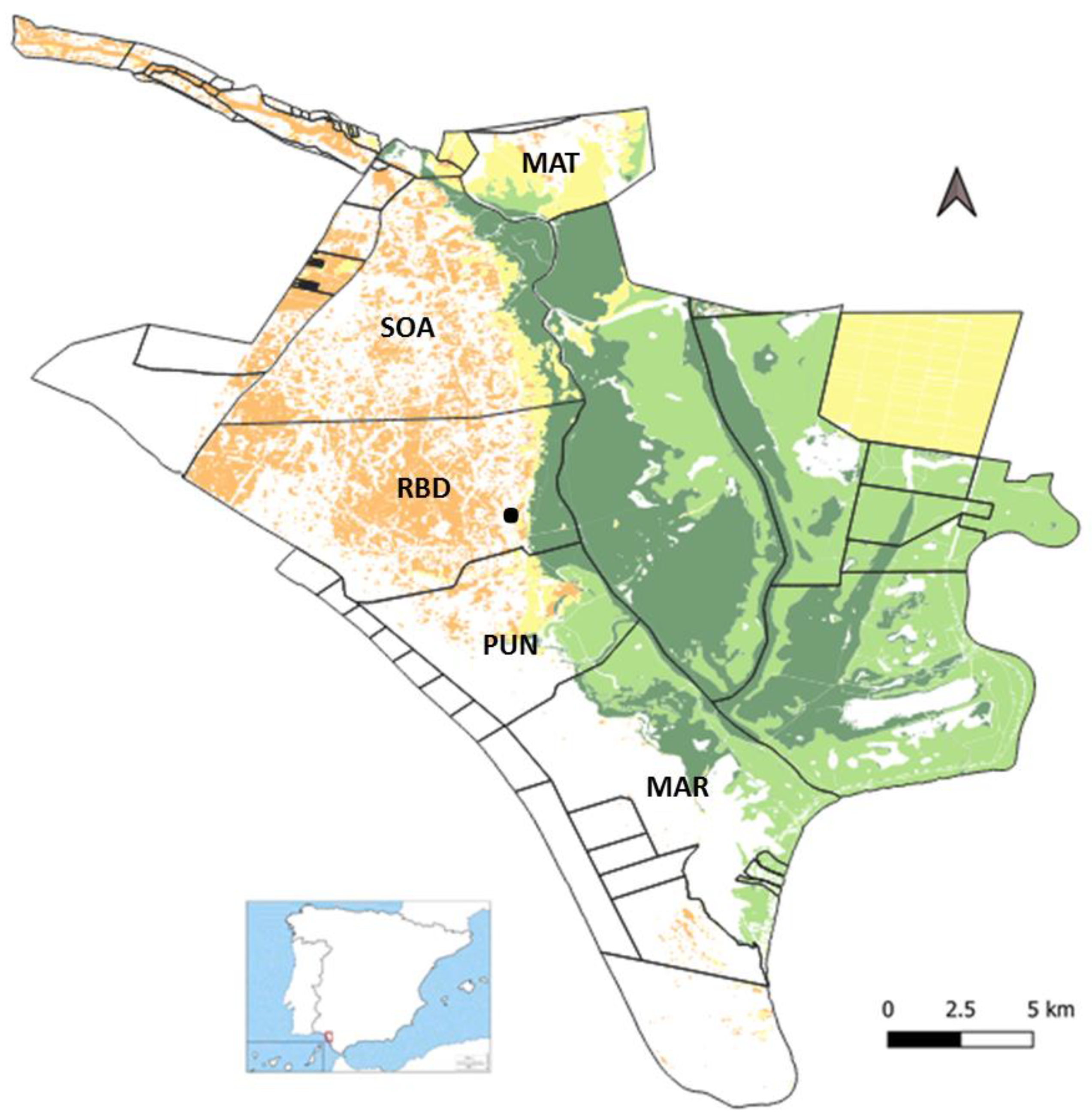 Remotesensing 13 03920 g001