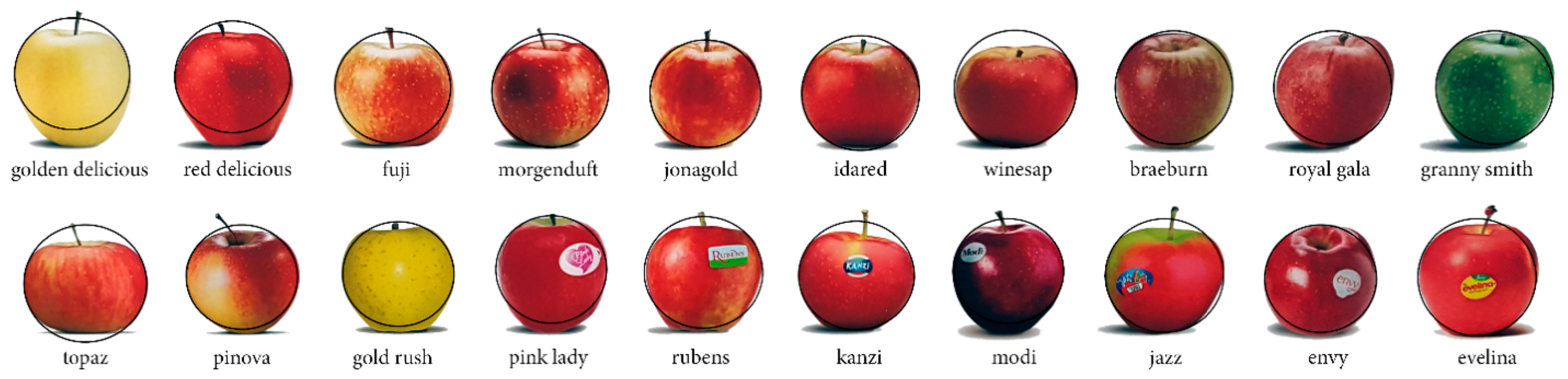 Remotesensing 13 03960 g006