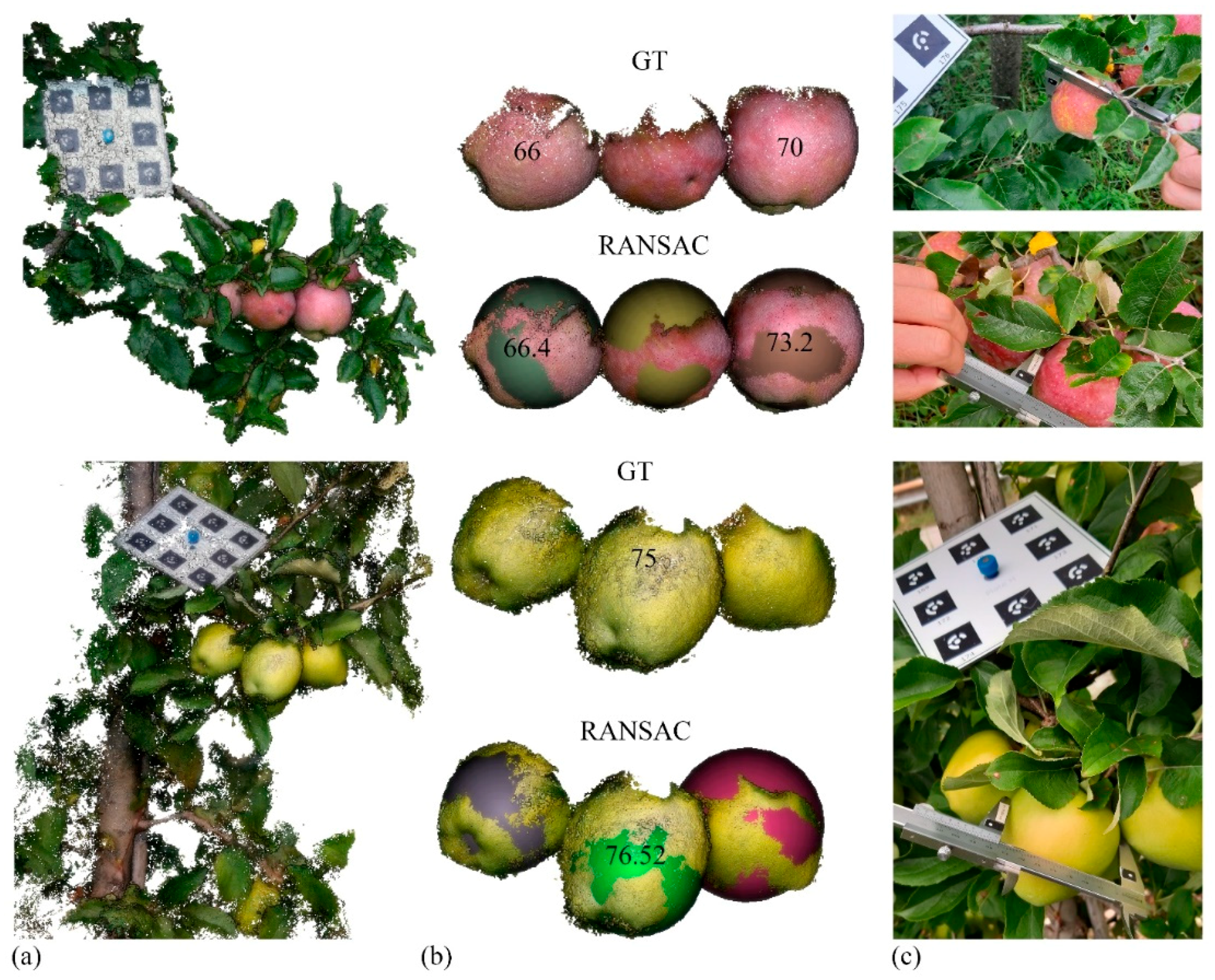 Remotesensing 13 03960 g015