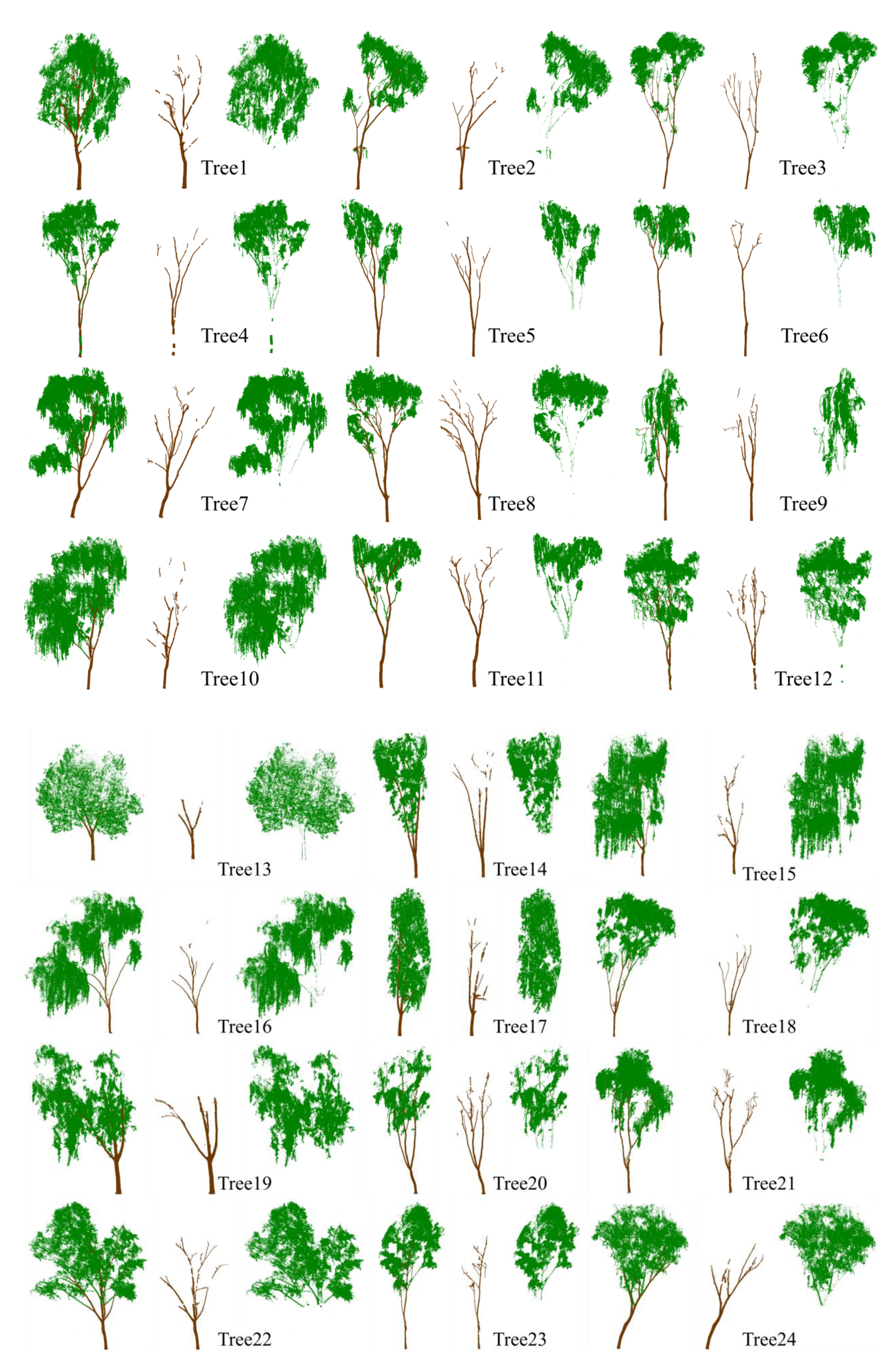 LeWoS: A universal leaf‐wood classification method to facilitate the 3D  modelling of large tropical trees using terrestrial LiDAR - Wang - 2020 -  Methods in Ecology and Evolution - Wiley Online Library