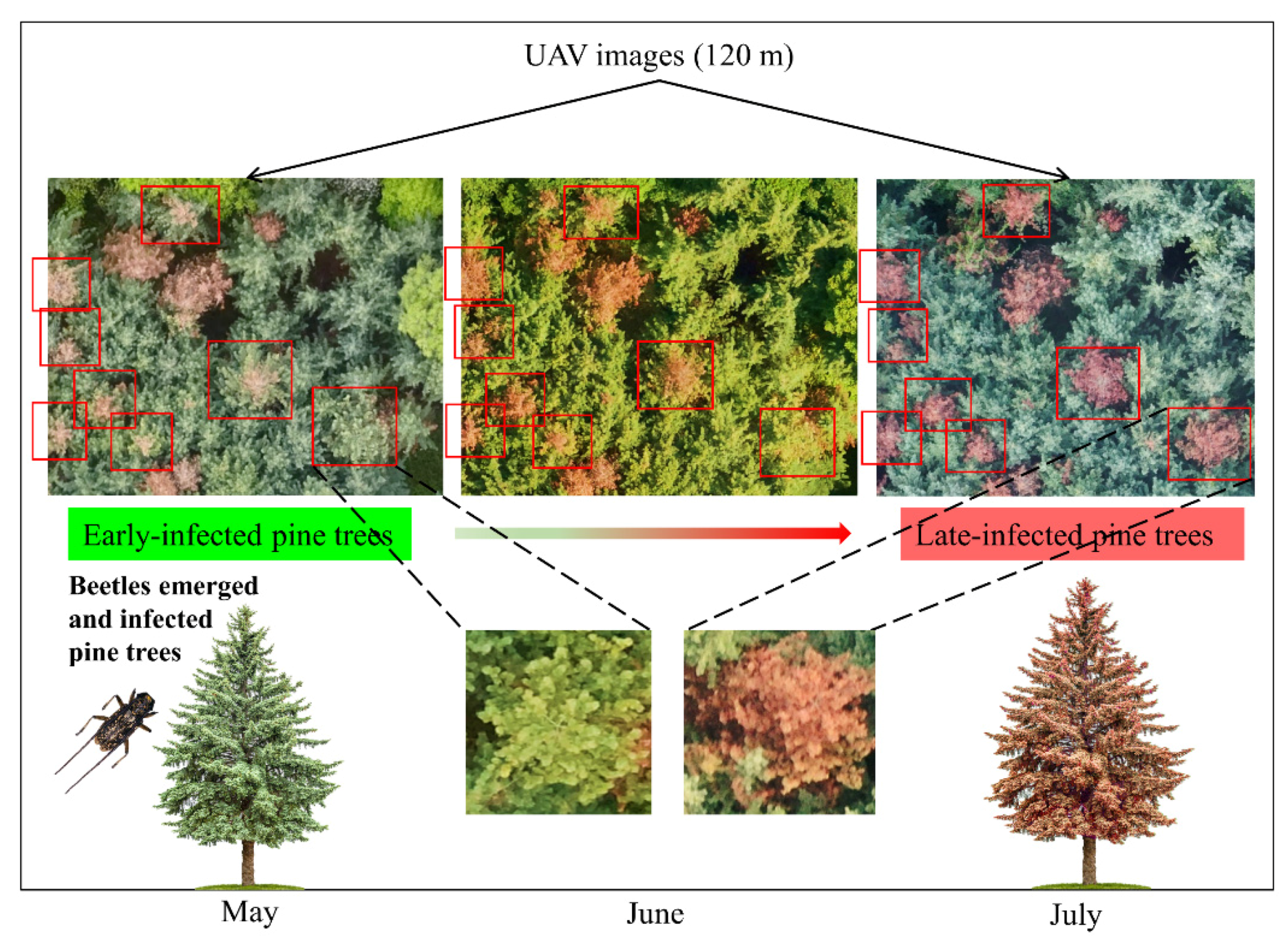 Remotesensing 13 04065 g008