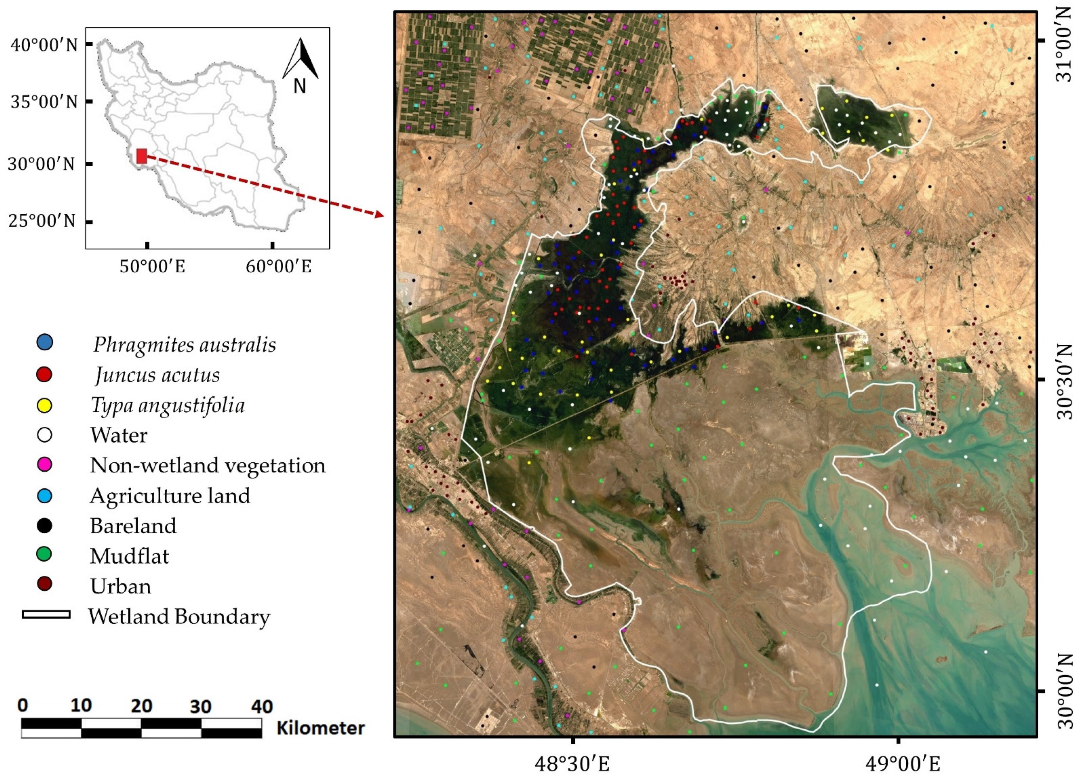 Remotesensing 13 04169 g001