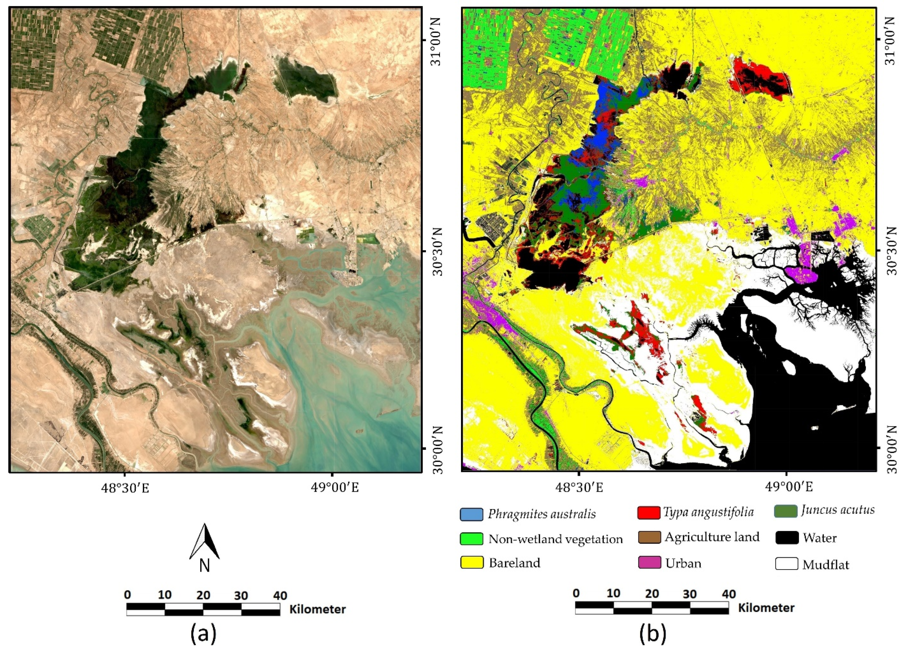 Remotesensing 13 04169 g0a5