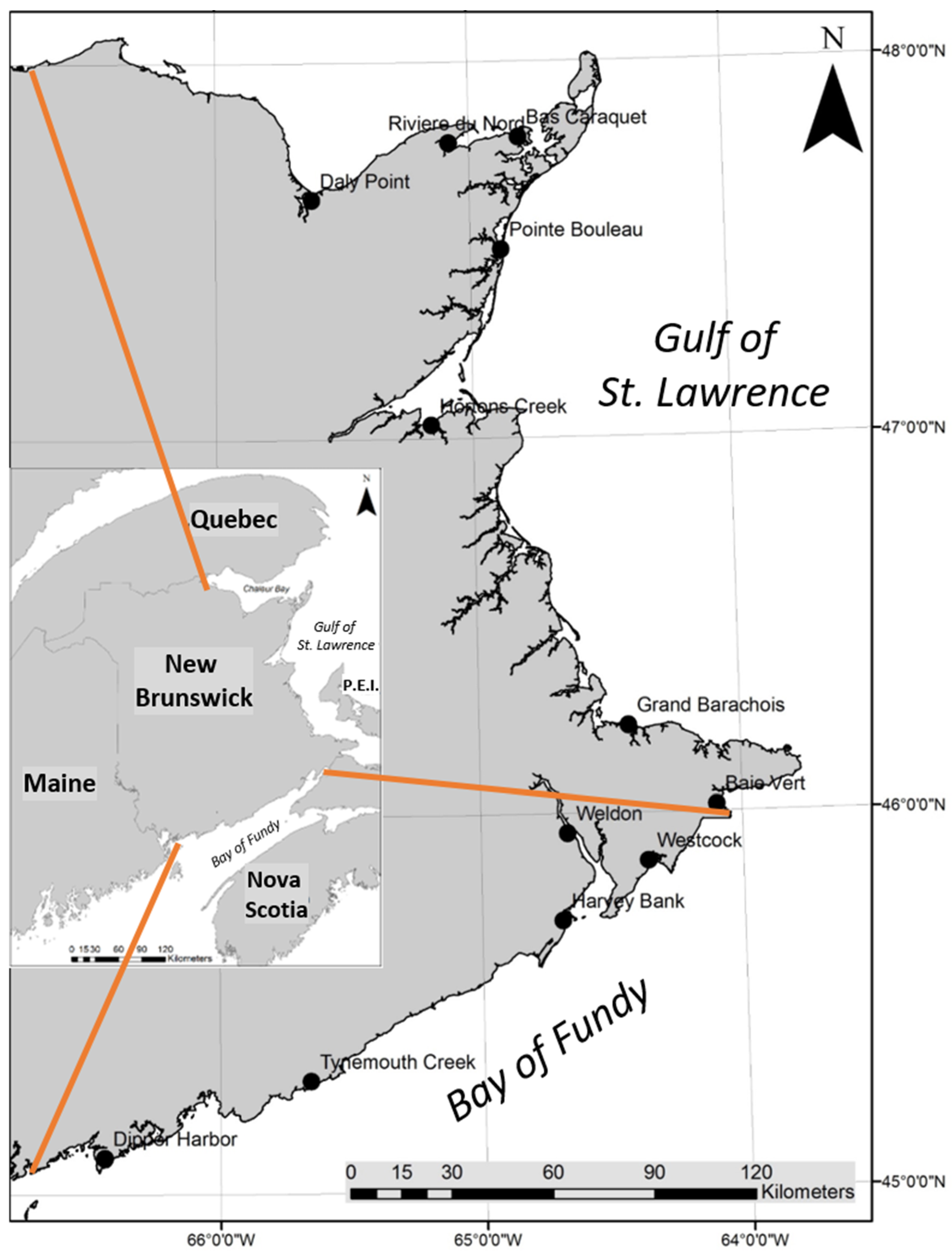 salt marsh map