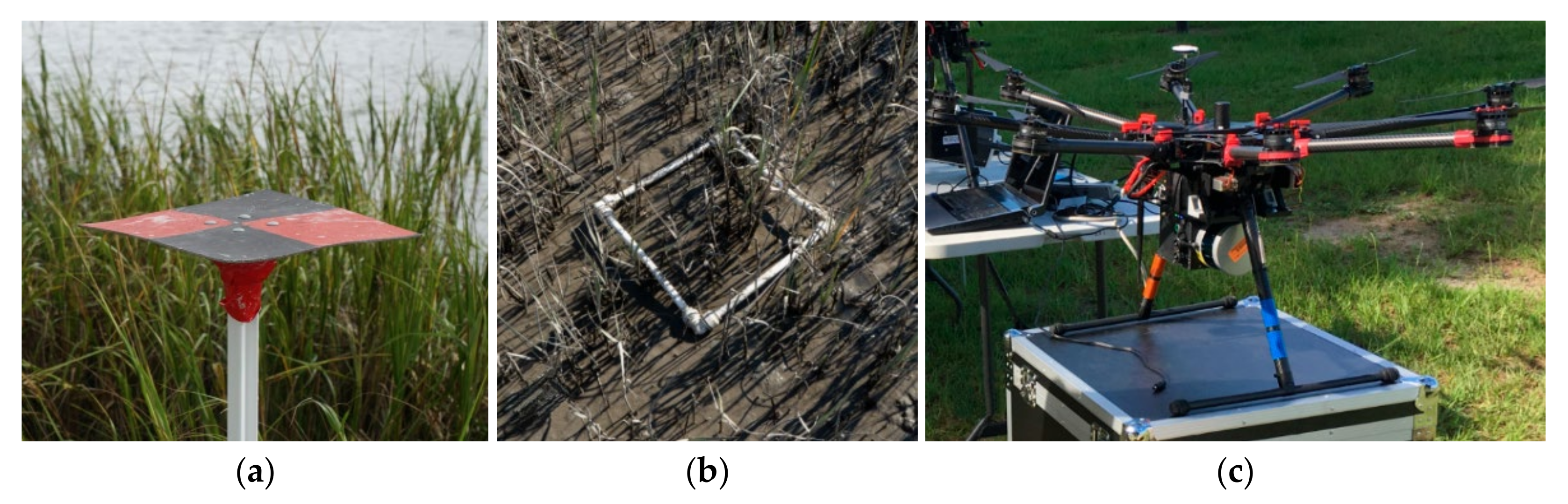 Remote Sensing | Free Full-Text | Estimating Ground Elevation and  Vegetation Characteristics in Coastal Salt Marshes Using UAV-Based LiDAR  and Digital Aerial Photogrammetry
