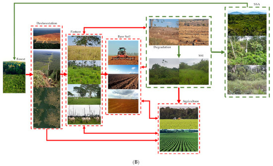 Increasing fragmentation of forest cover in Brazil's Legal