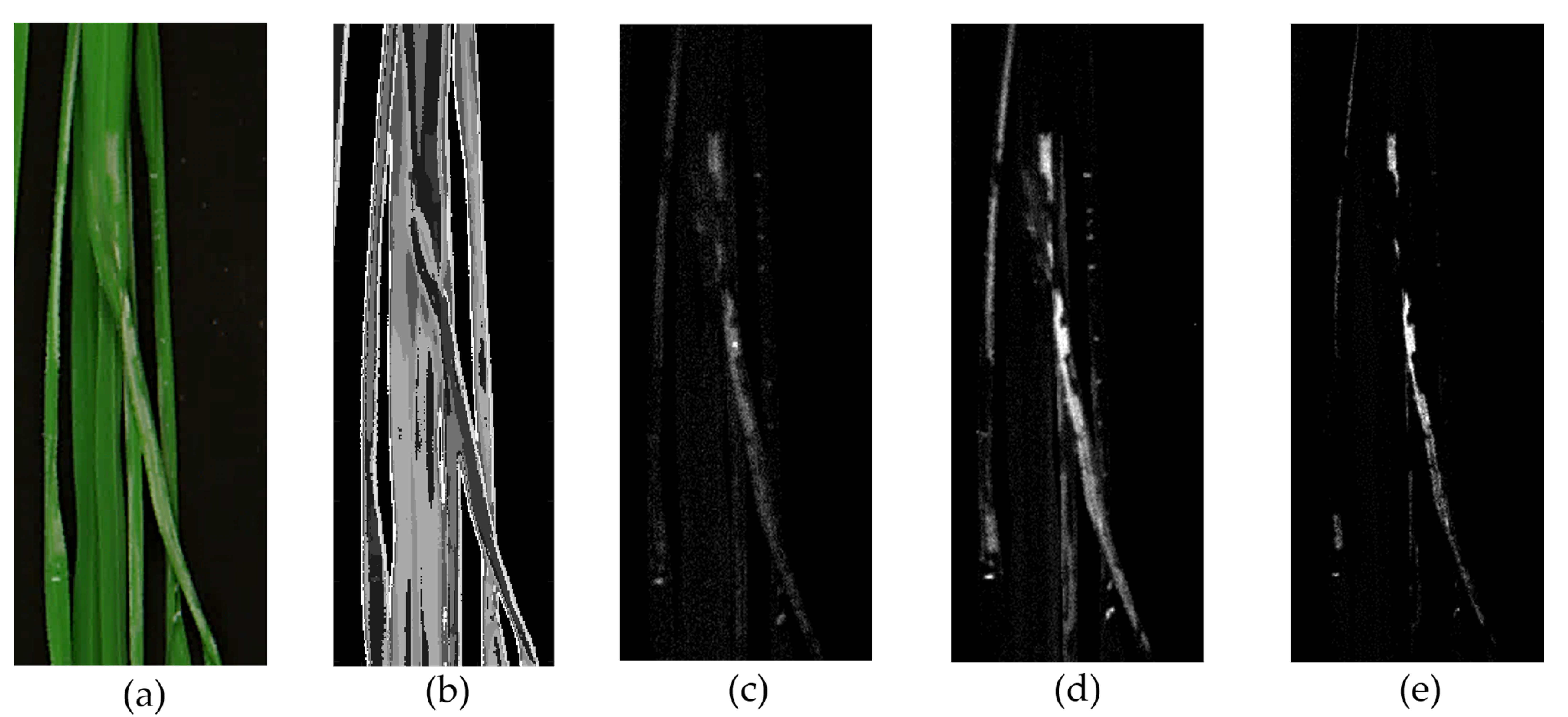 Remotesensing 13 04587 g009