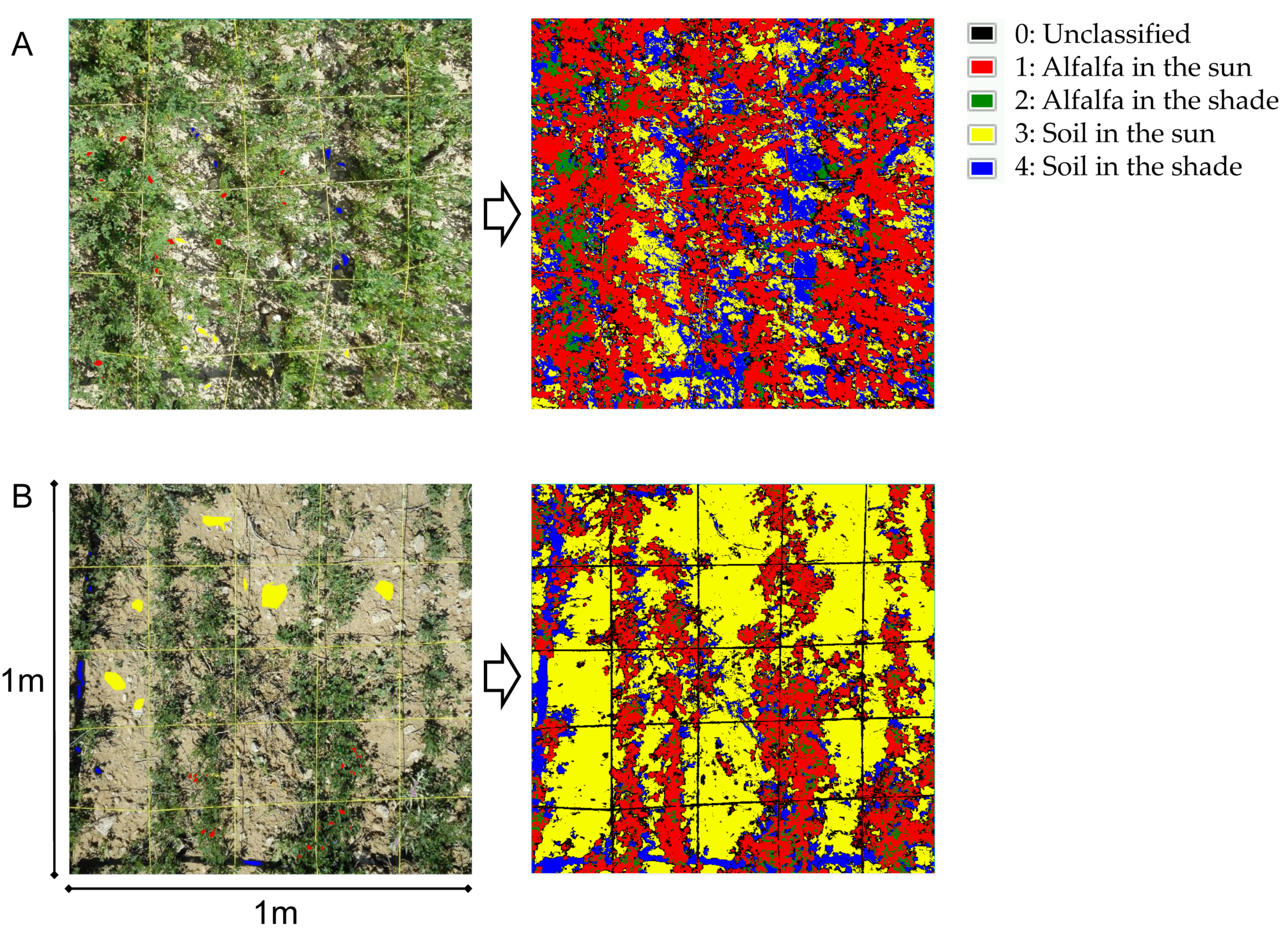Remotesensing 13 04719 g002