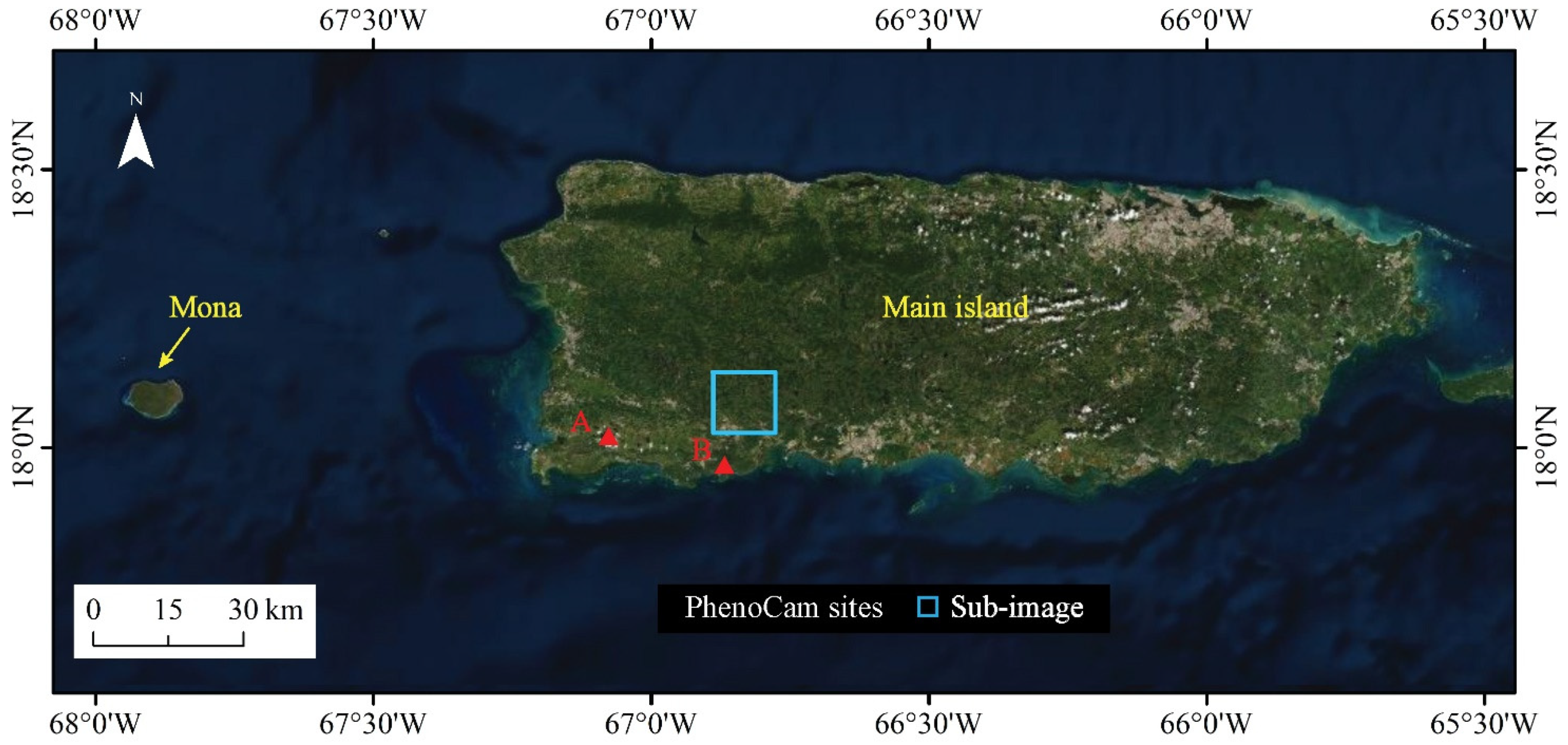 Arturo J Marcano's research works