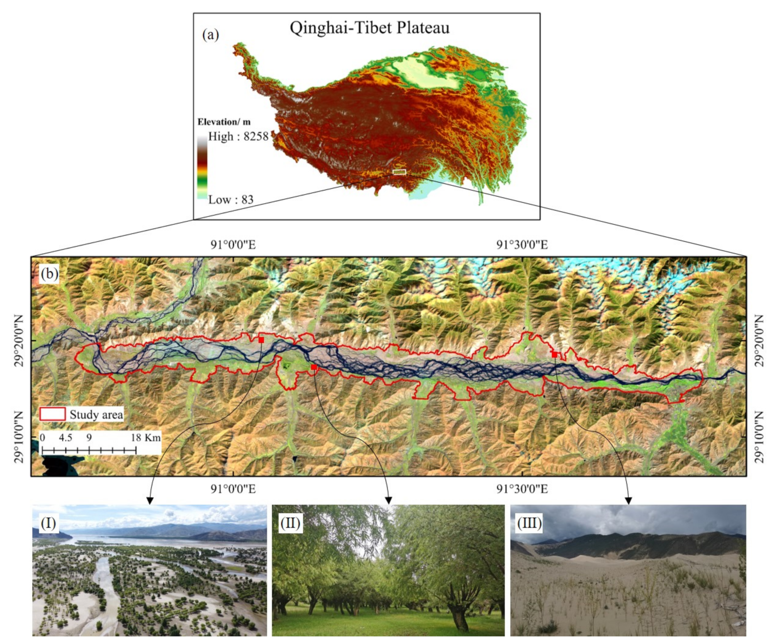 Remotesensing 13 04785 g001