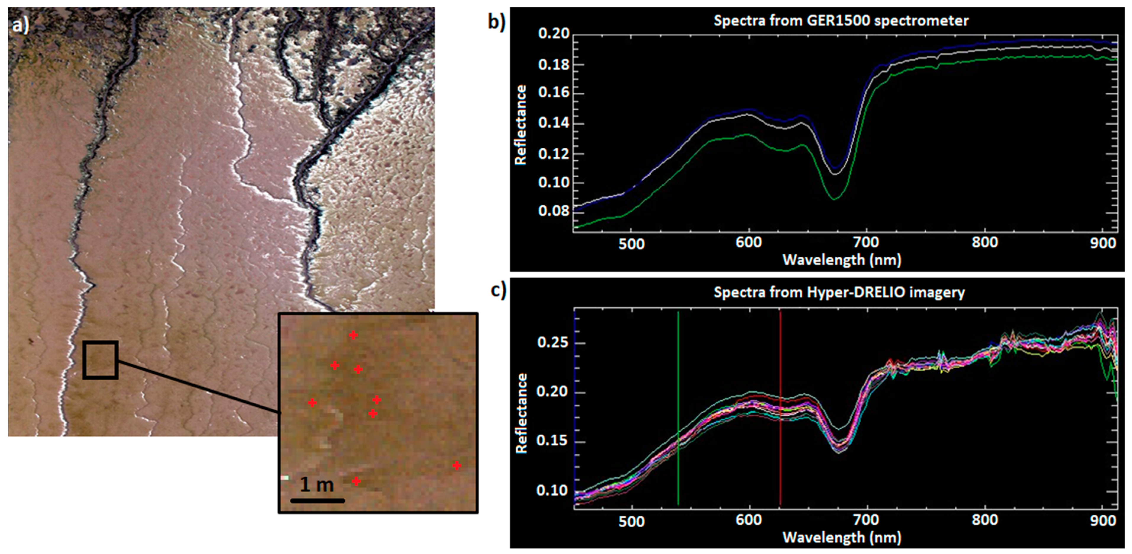 Remotesensing 13 04792 g006