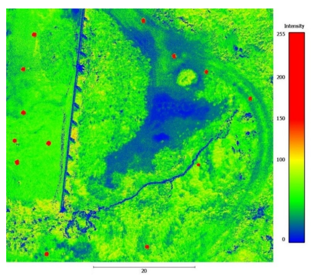 Remotesensing 13 04811 g006