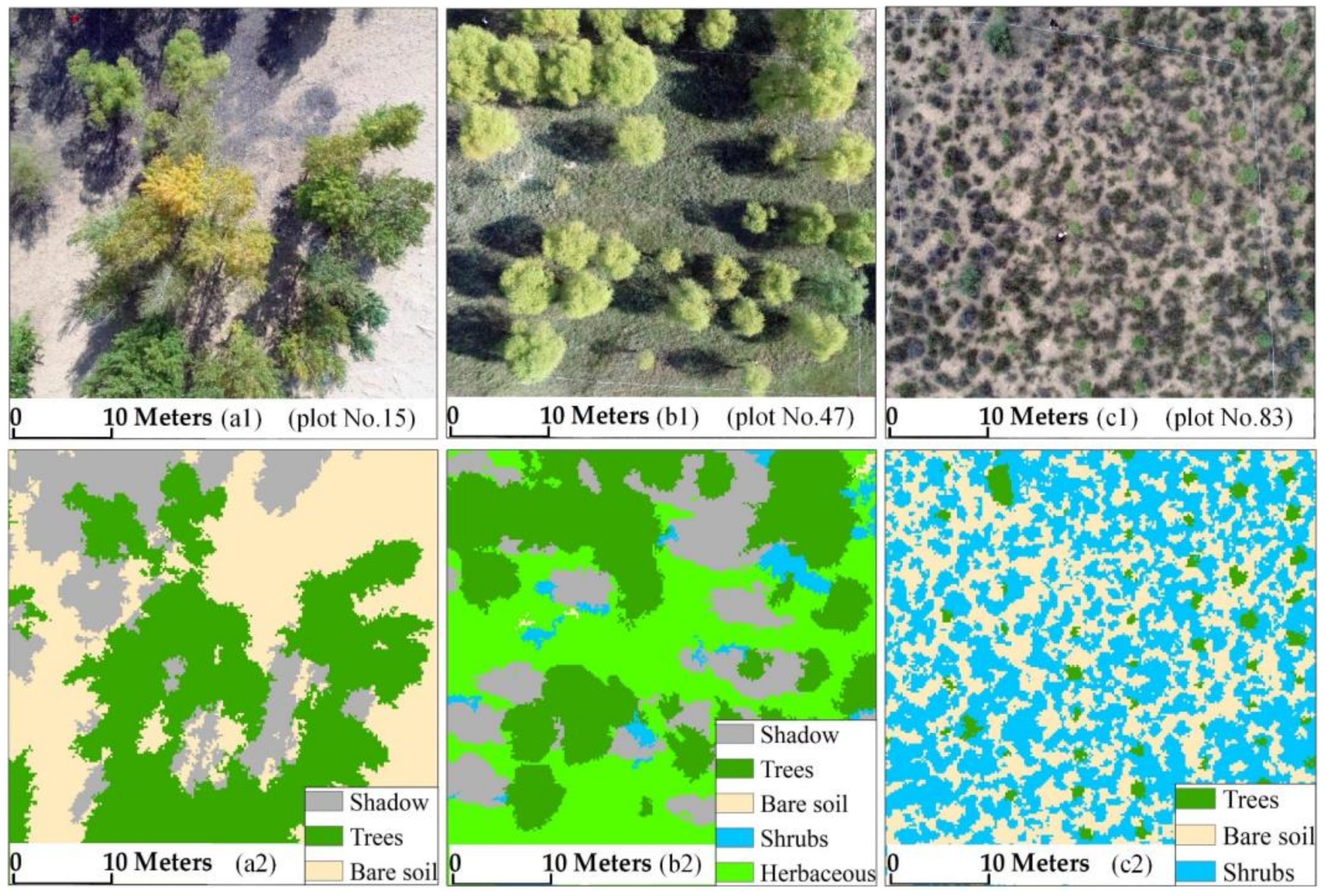 Remotesensing 13 04859 g004