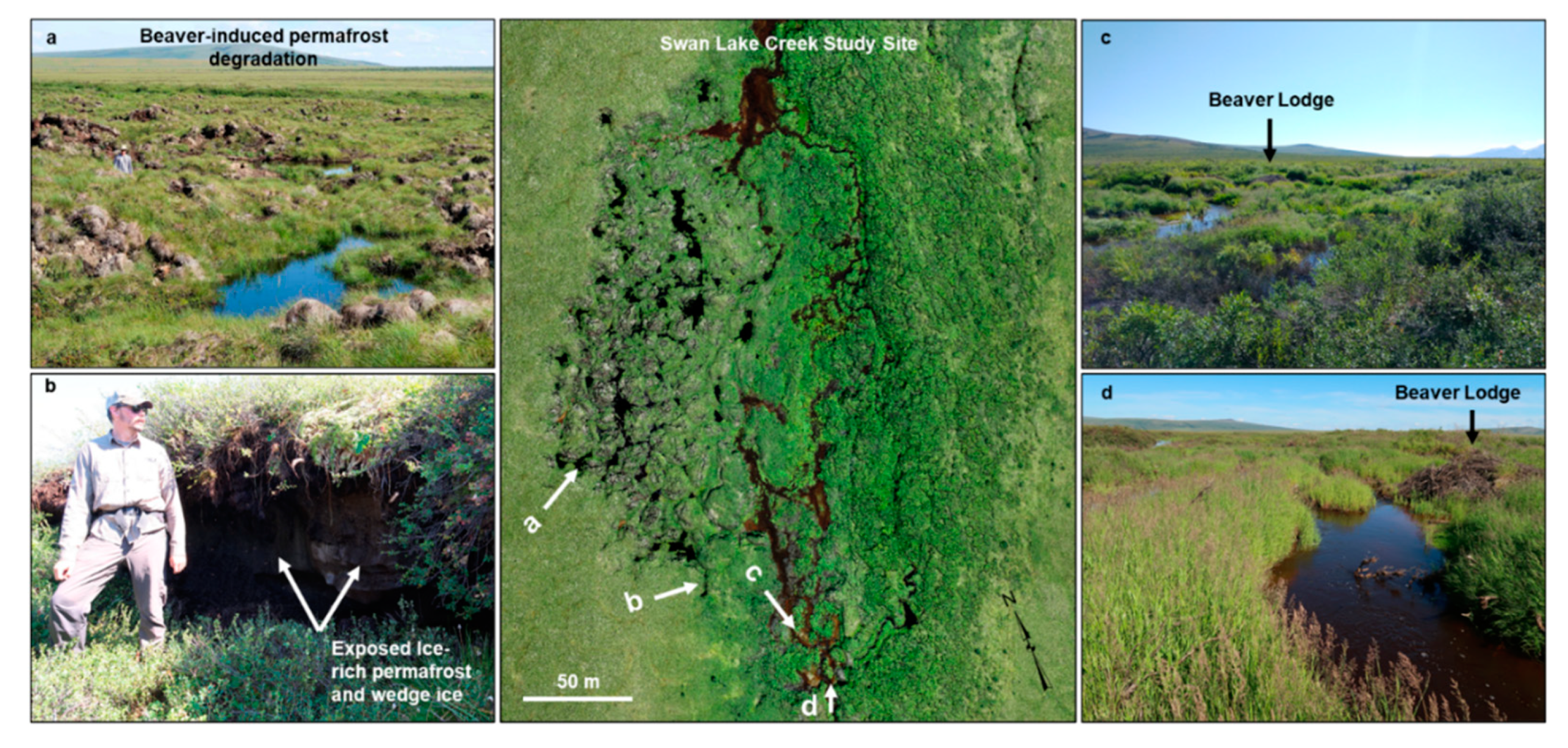 Remotesensing 13 04863 g002