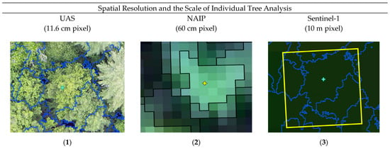 Forest in situ observations using unmanned aerial vehicle as an