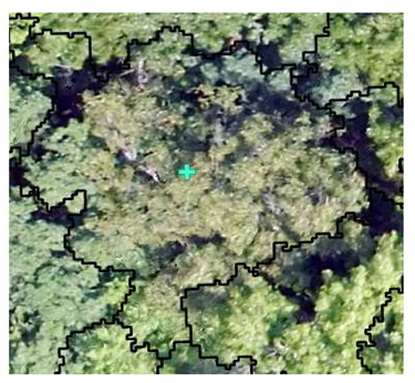 Remotesensing 13 04873 i011 Remotesensing 13 04873 i011