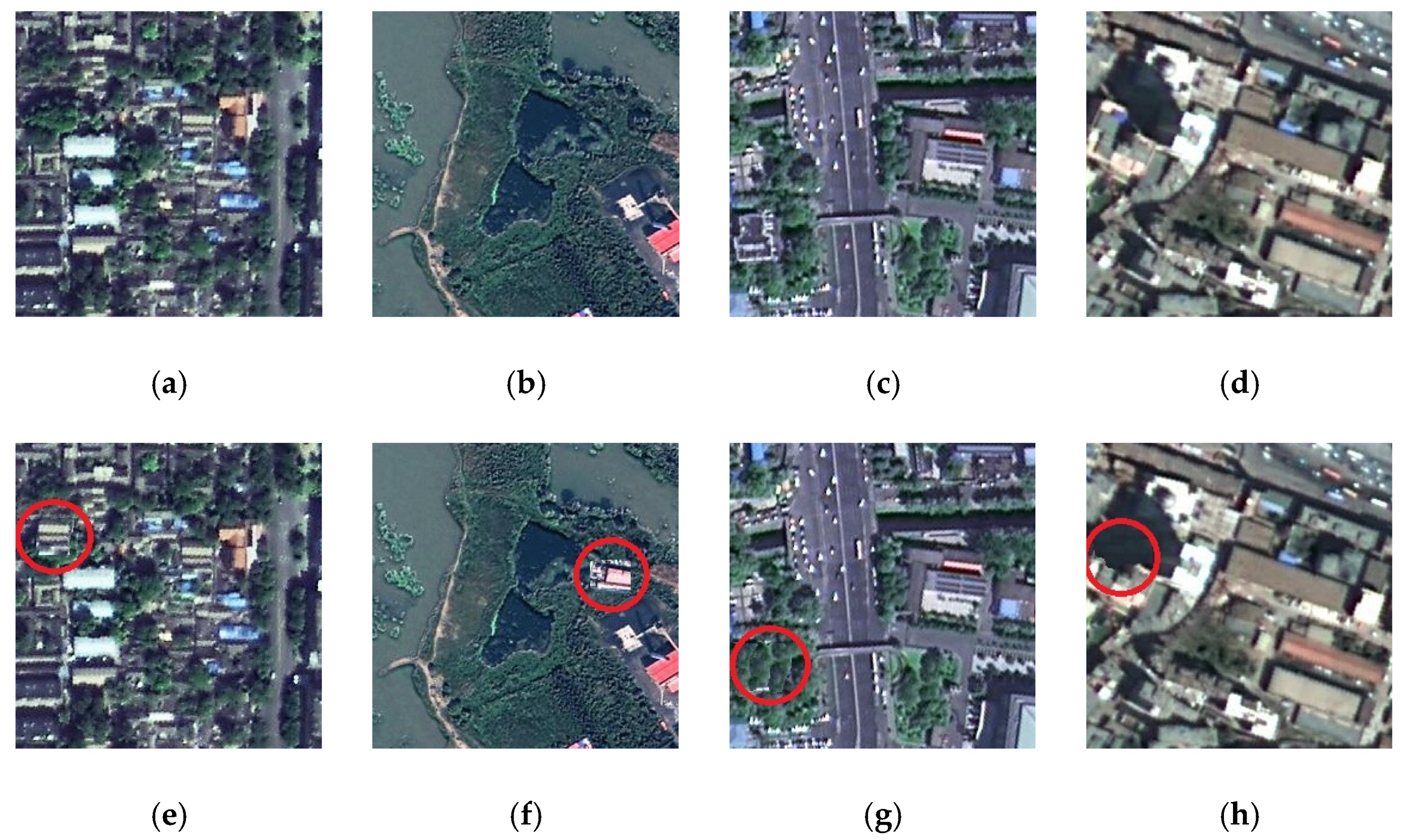 Remotesensing 13 05109 g011