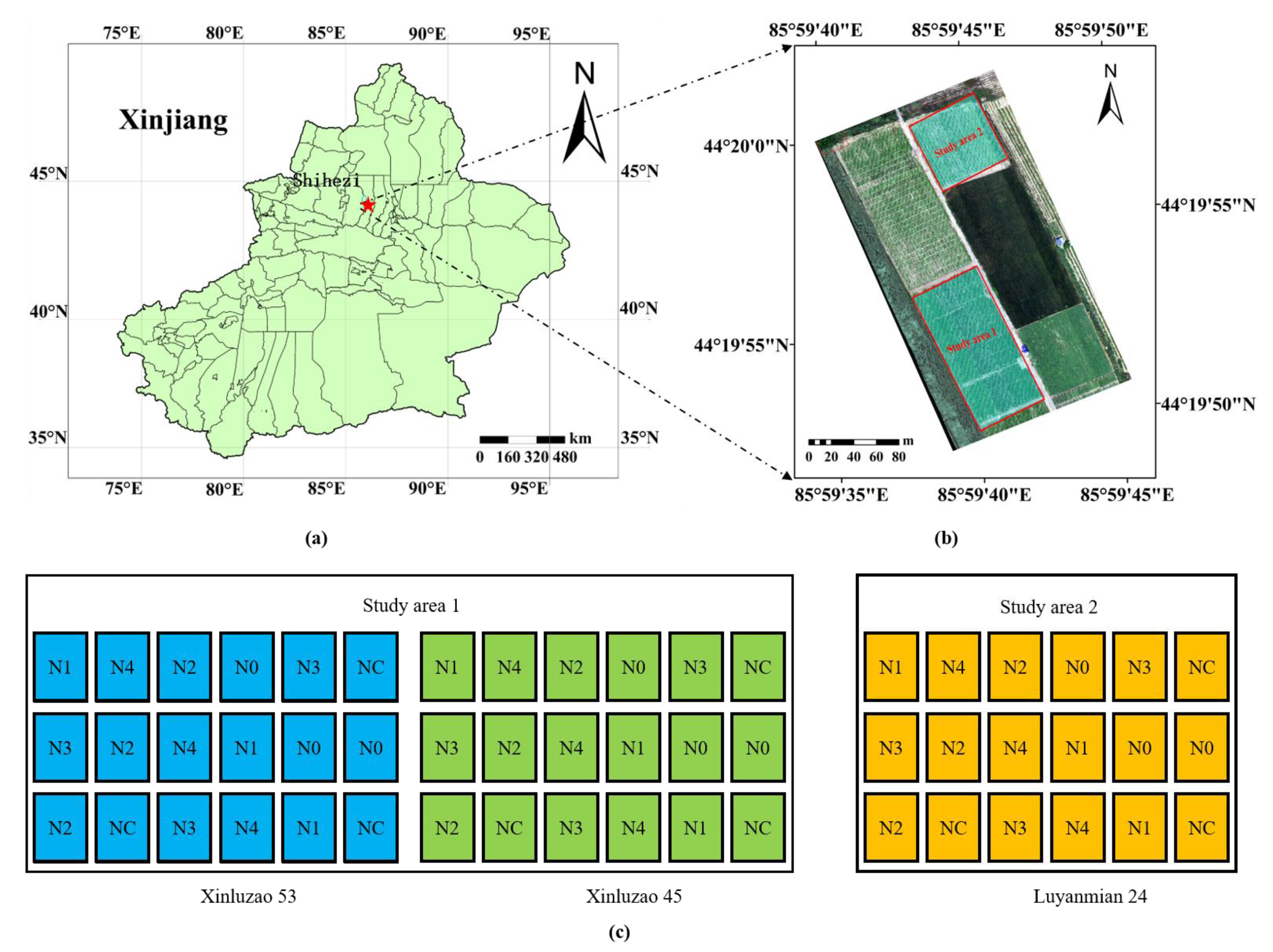 Remote Sensing | Free Full-Text | Estimation of Cotton Leaf Area