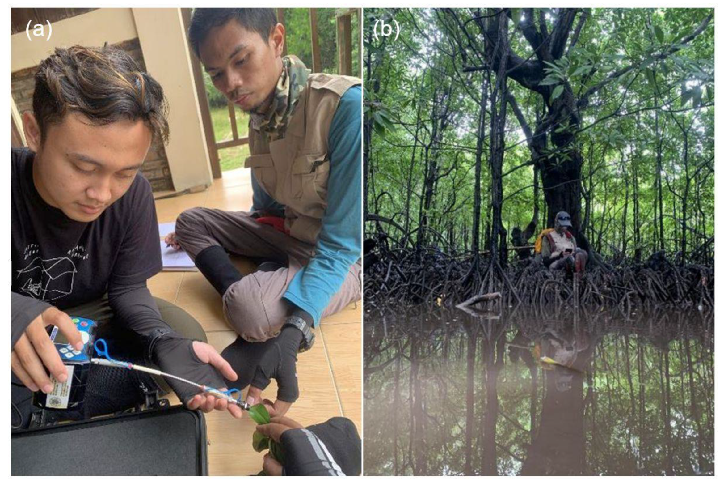 Remotesensing 14 00183 g003