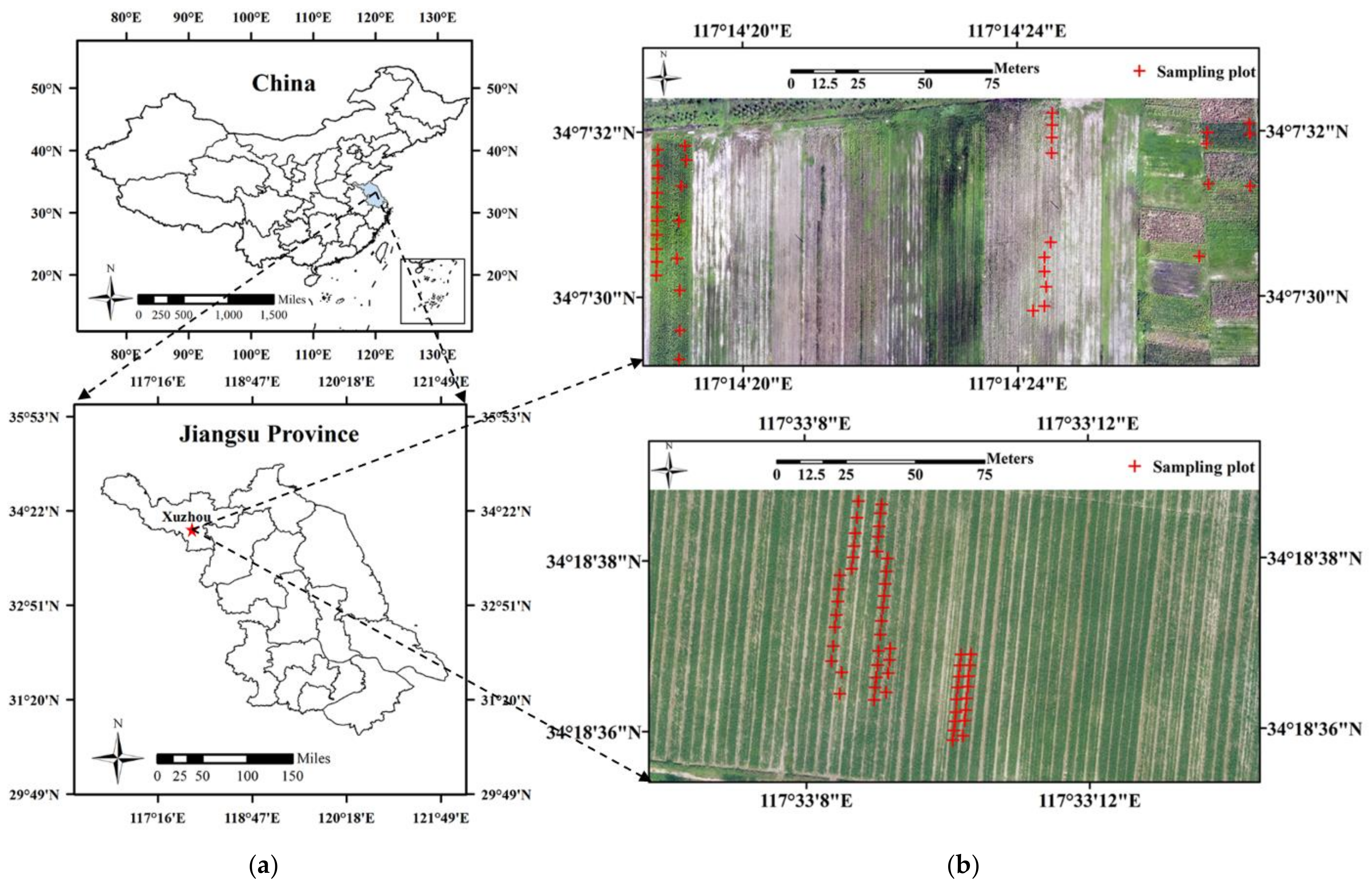 Remotesensing 14 00331 g001