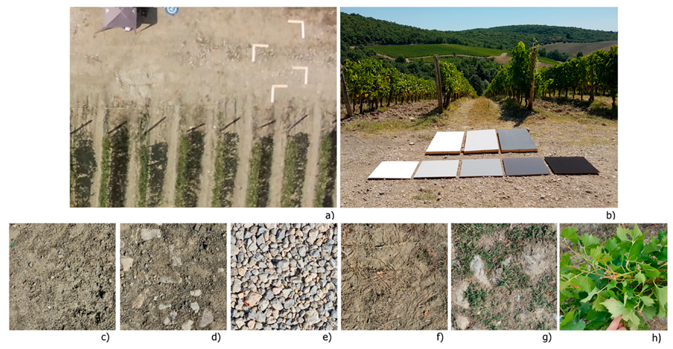 Remotesensing 14 00449 g003