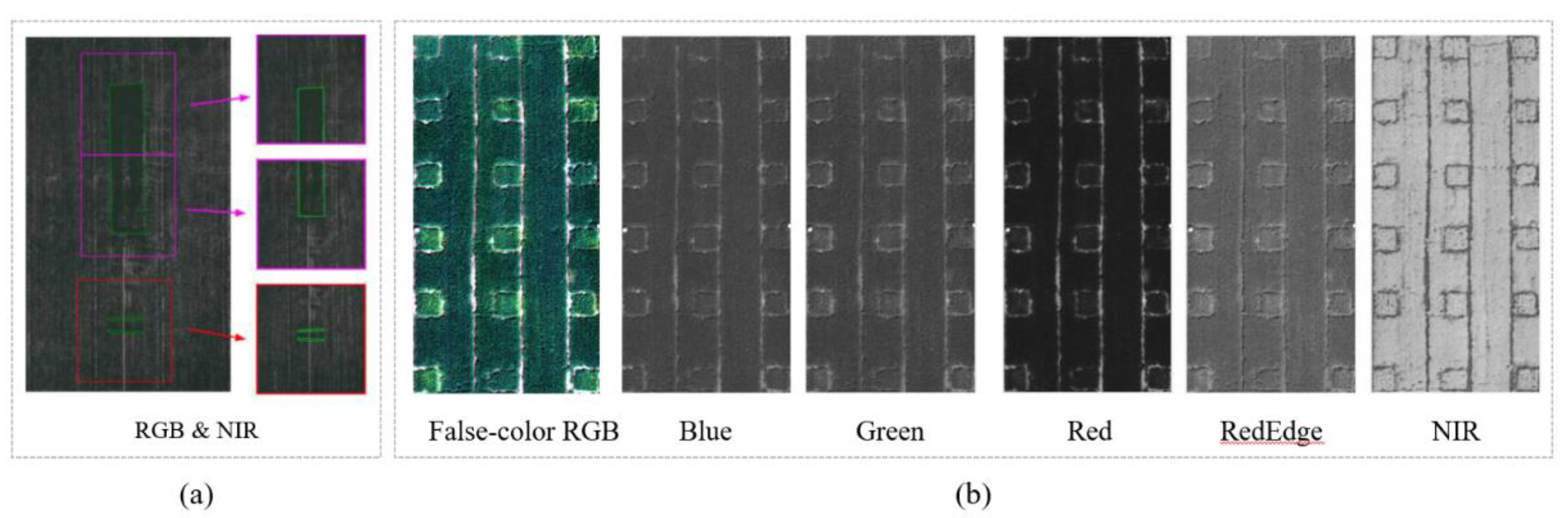Remotesensing 14 00559 g003