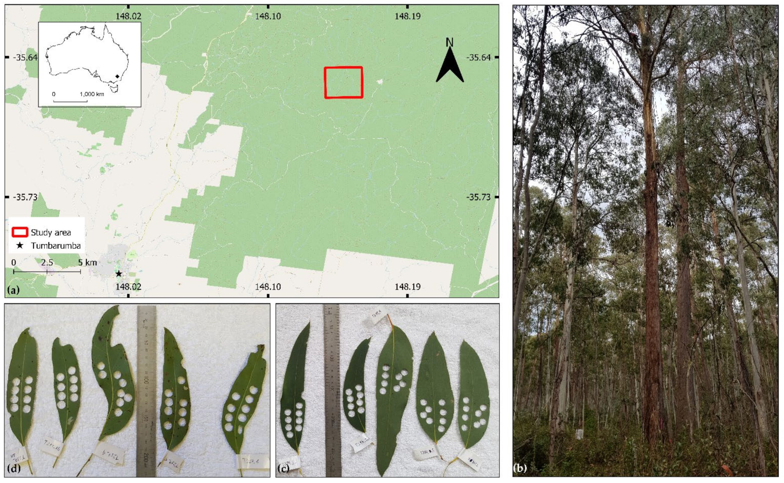 Remotesensing 14 00567 g002