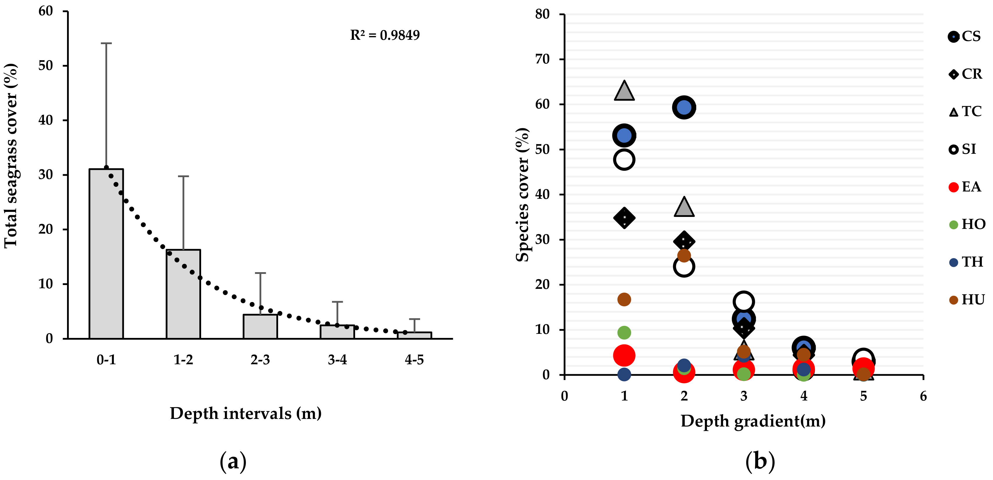 Remote Sensing | Free Full-Text | Drone-Based Characterization of Seagrass  Habitats in the Tropical Waters of Zanzibar