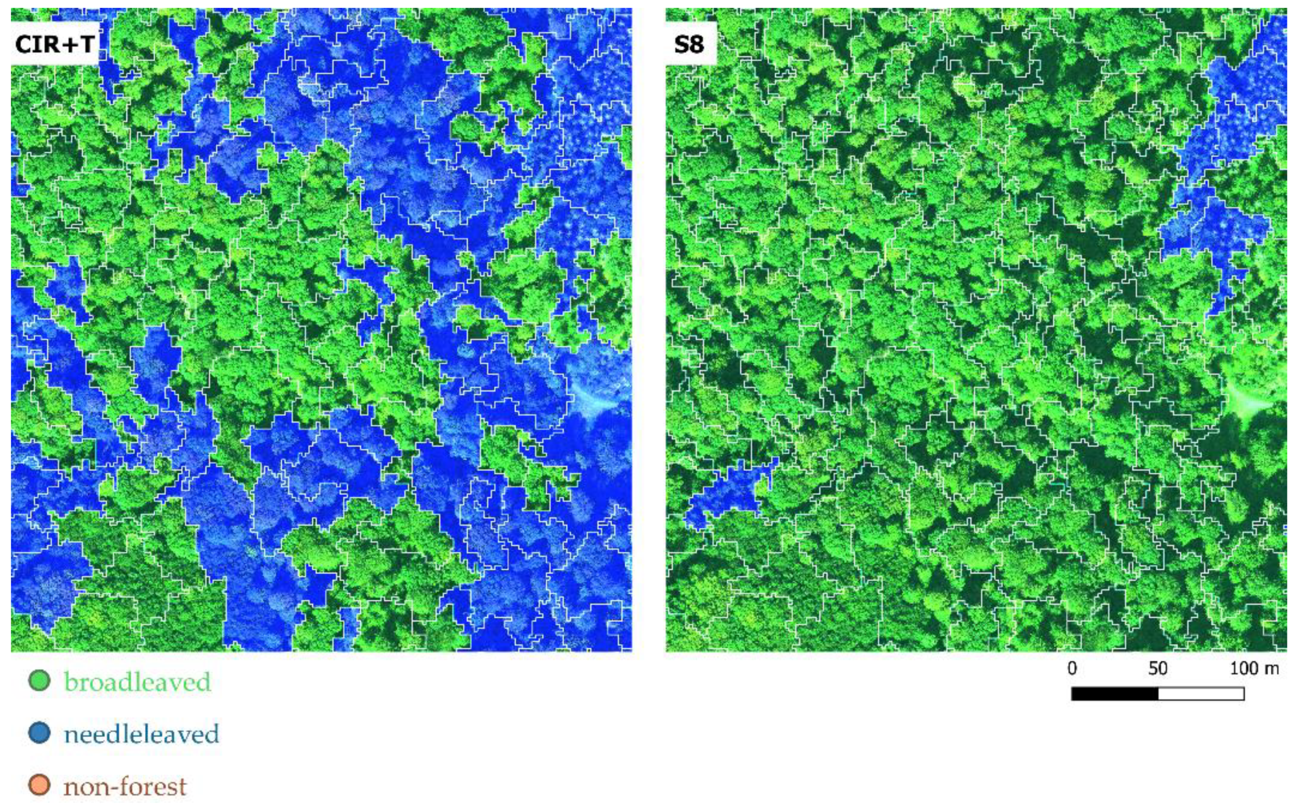 Remotesensing 14 00727 g010