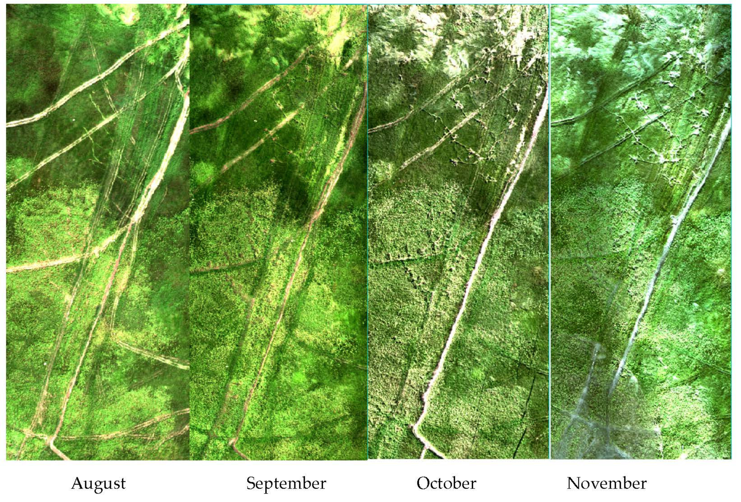 Remotesensing 14 00827 g005