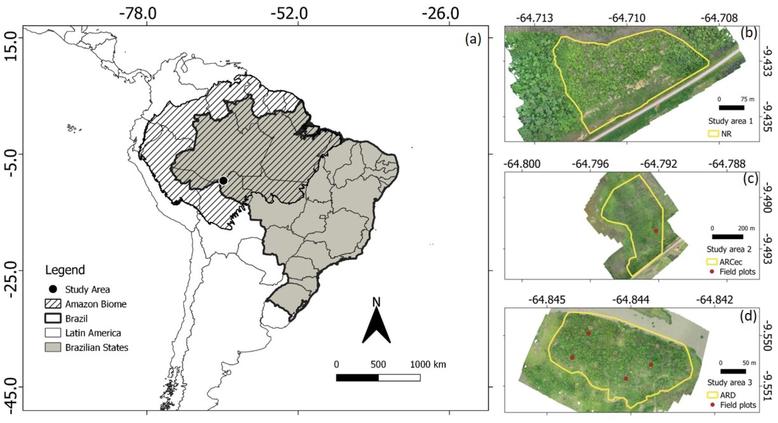 Remote Sensing | Free Full-Text | Mapping Key Indicators of Forest  Restoration in the Amazon Using a Low-Cost Drone and Artificial Intelligence