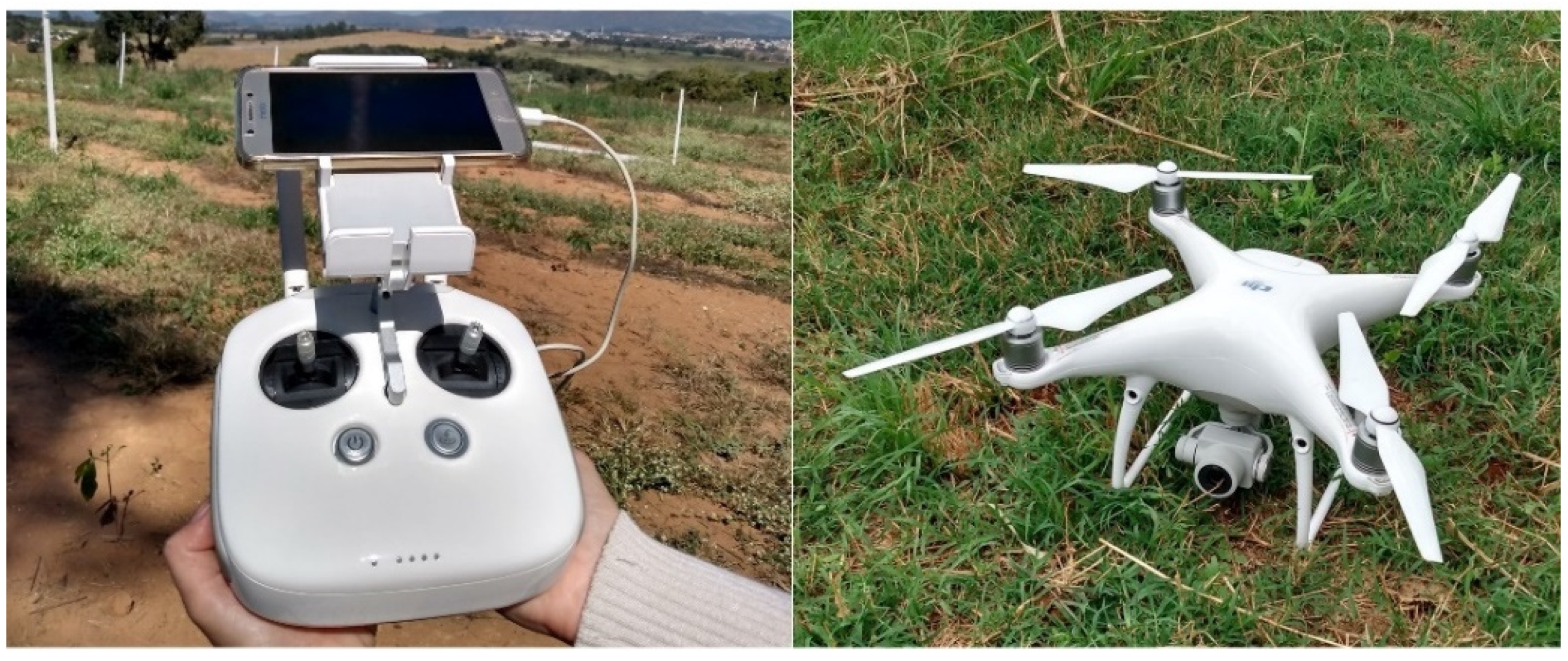 Remotesensing 14 00911 g004