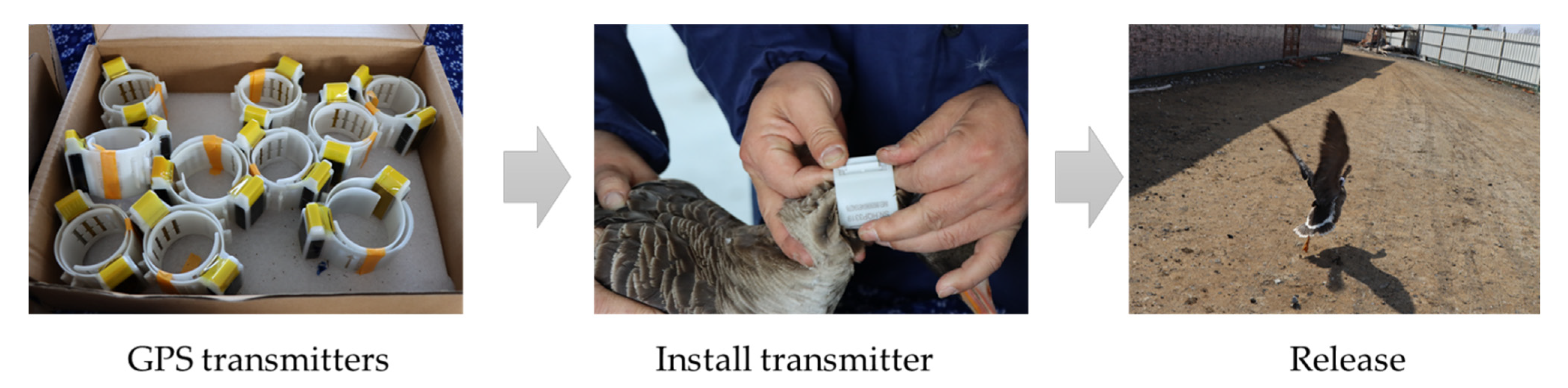 Remotesensing 14 00952 g002