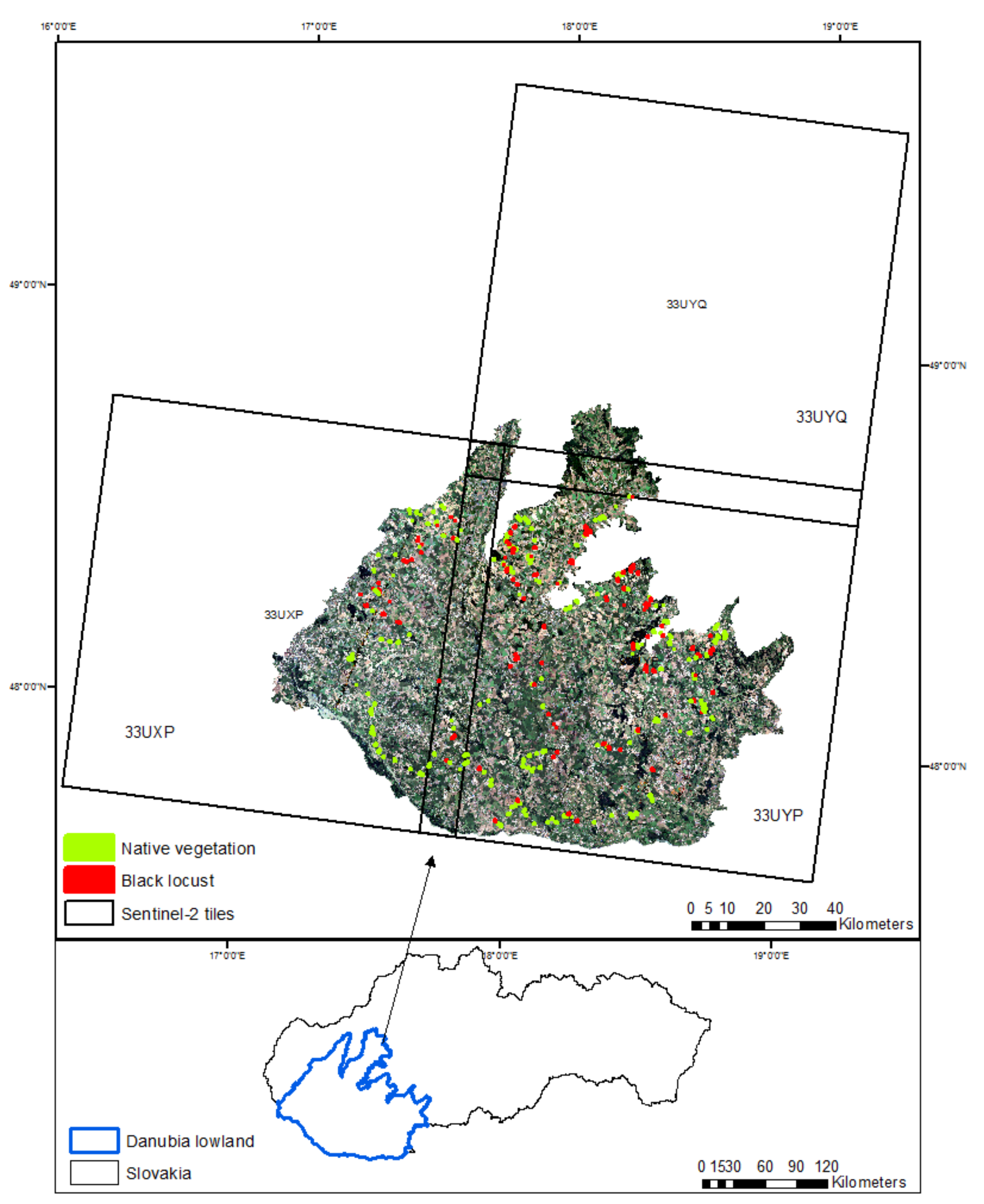 Remote Sensing | Free Full-Text | Detection of Invasive Black Locust  (Robinia pseudoacacia) in Small Woody Features Using Spatiotemporal  Compositing of Sentinel-2 Data